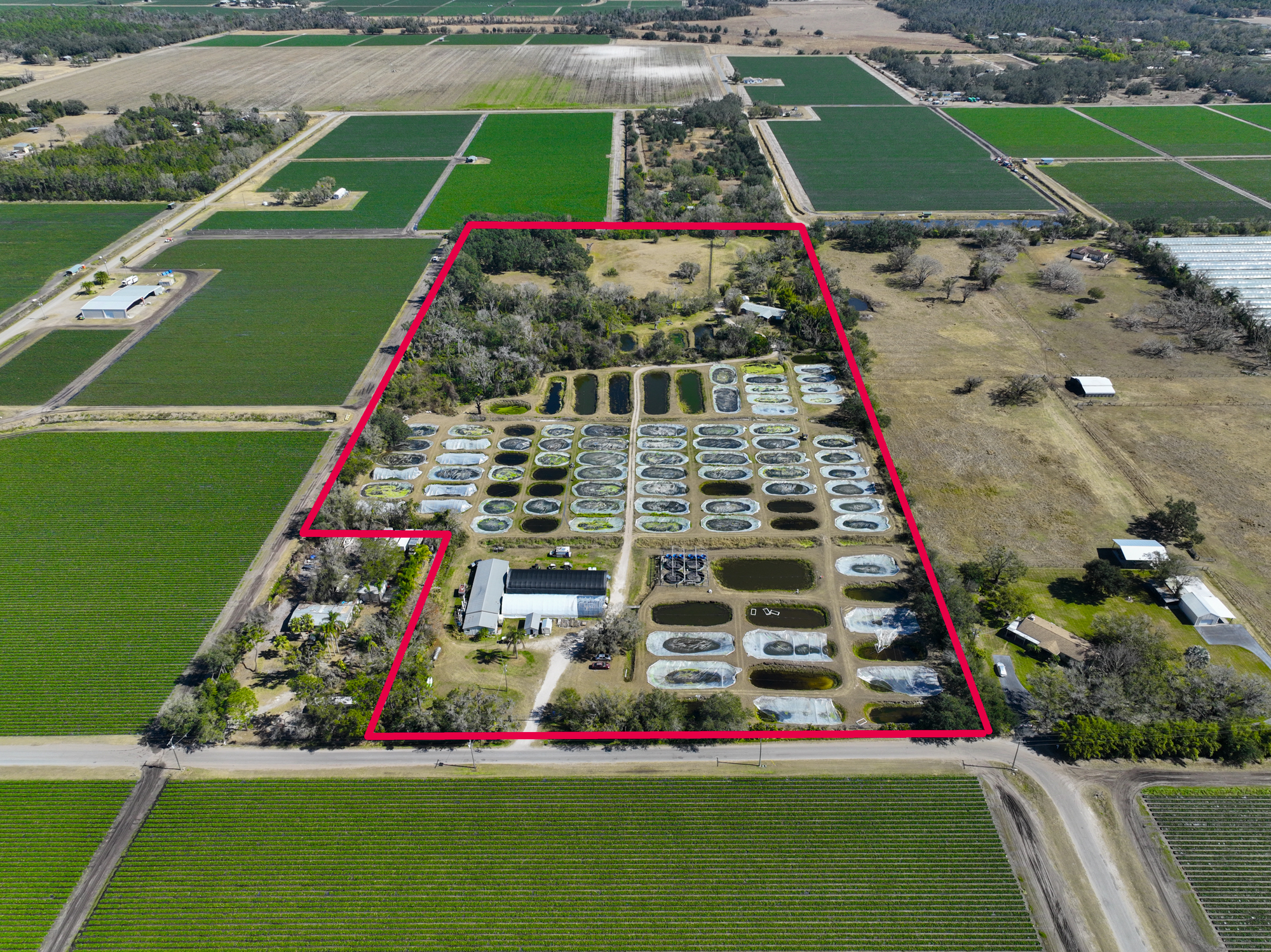 Wimauma, Florida, 33598, United States, 3 Bedrooms Bedrooms, ,2 BathroomsBathrooms,Residential,For Sale,2016610