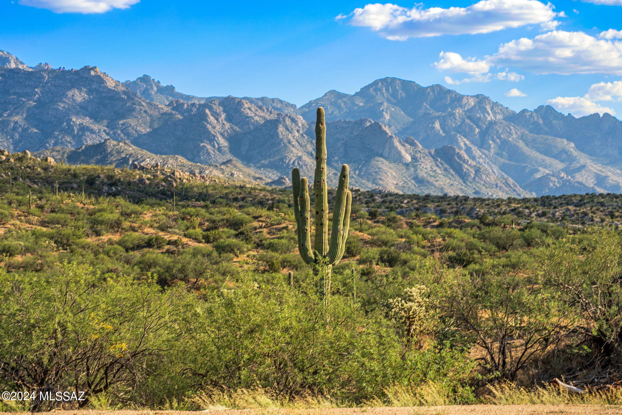 Tucson, Arizona, 85739, United States, ,Land,For Sale,1744993