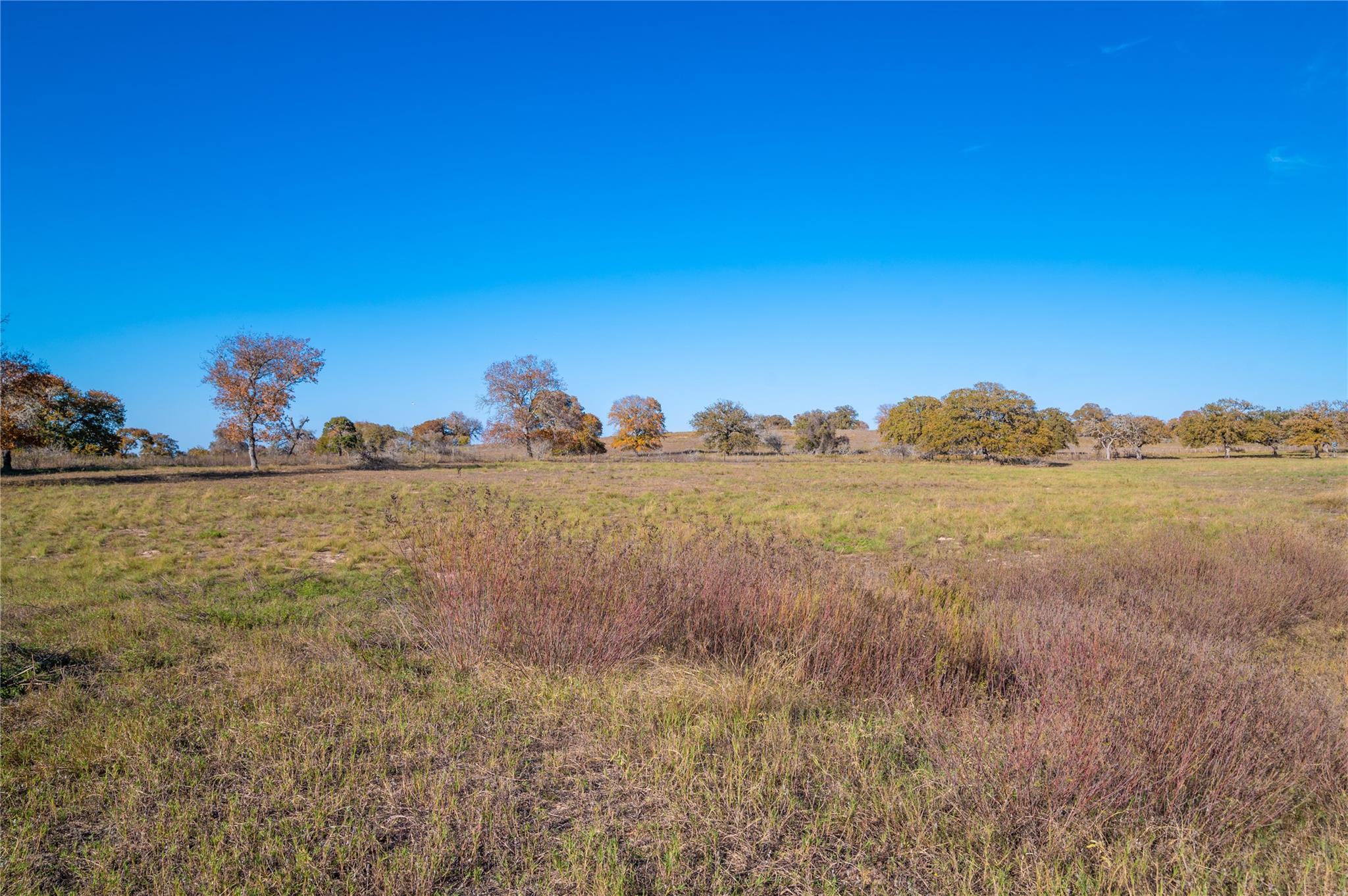 Stockdale, Texas, 78160, United States, 1 Bedroom Bedrooms, ,1 BathroomBathrooms,Residential,For Sale,1937529