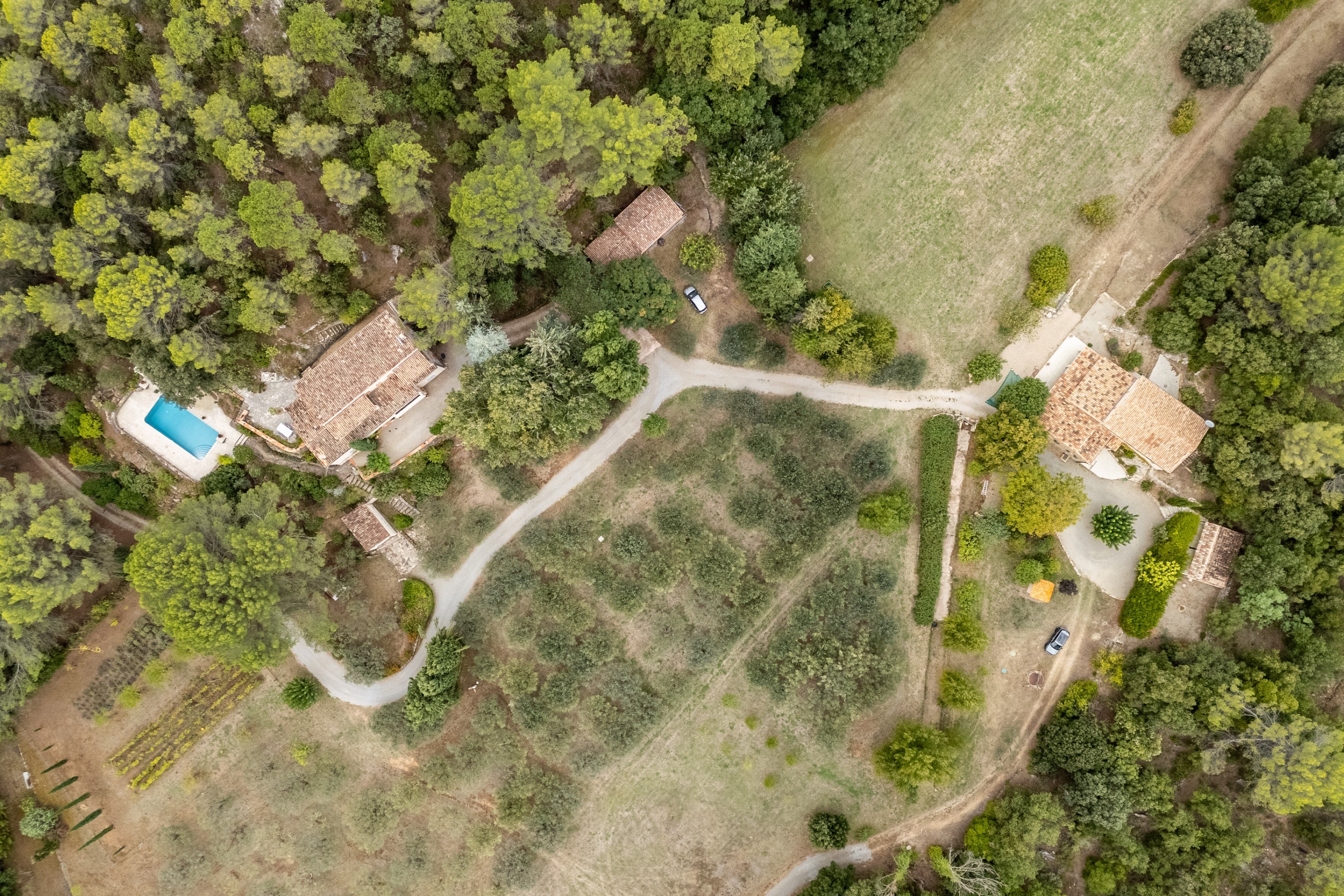  Prestigious Estate with Olive Grove - 物件實景