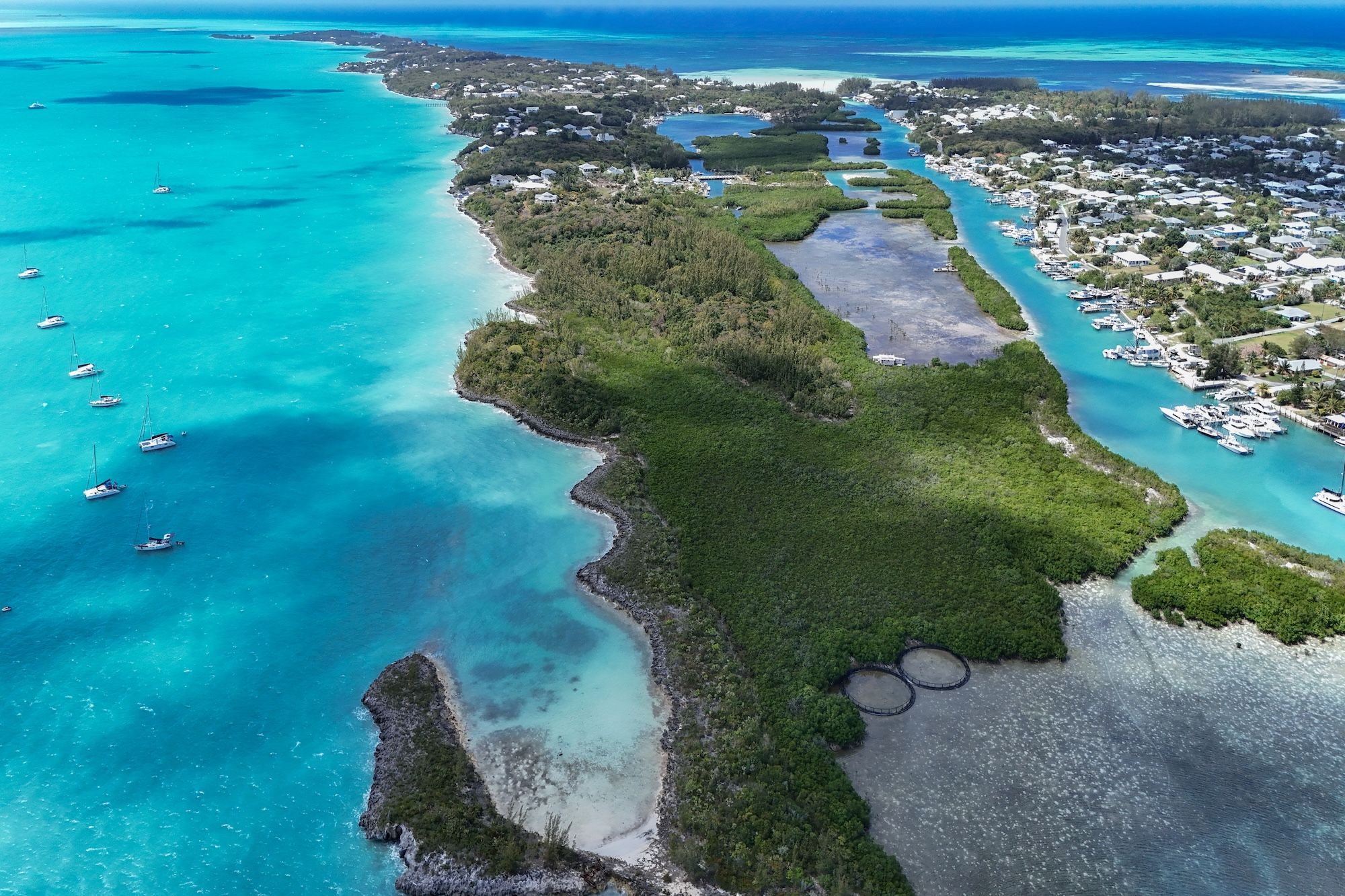  East Russell Island Acreage - 物件實景
