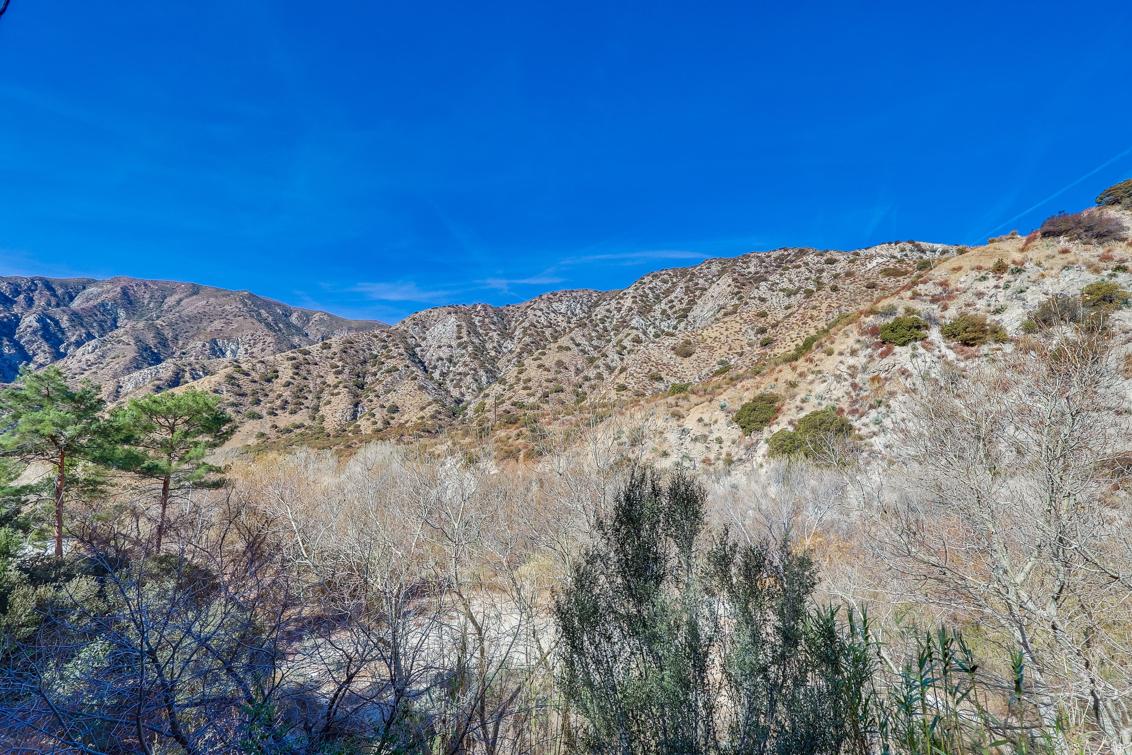  4137 Big Tujunga Canyon Road - 物件實景