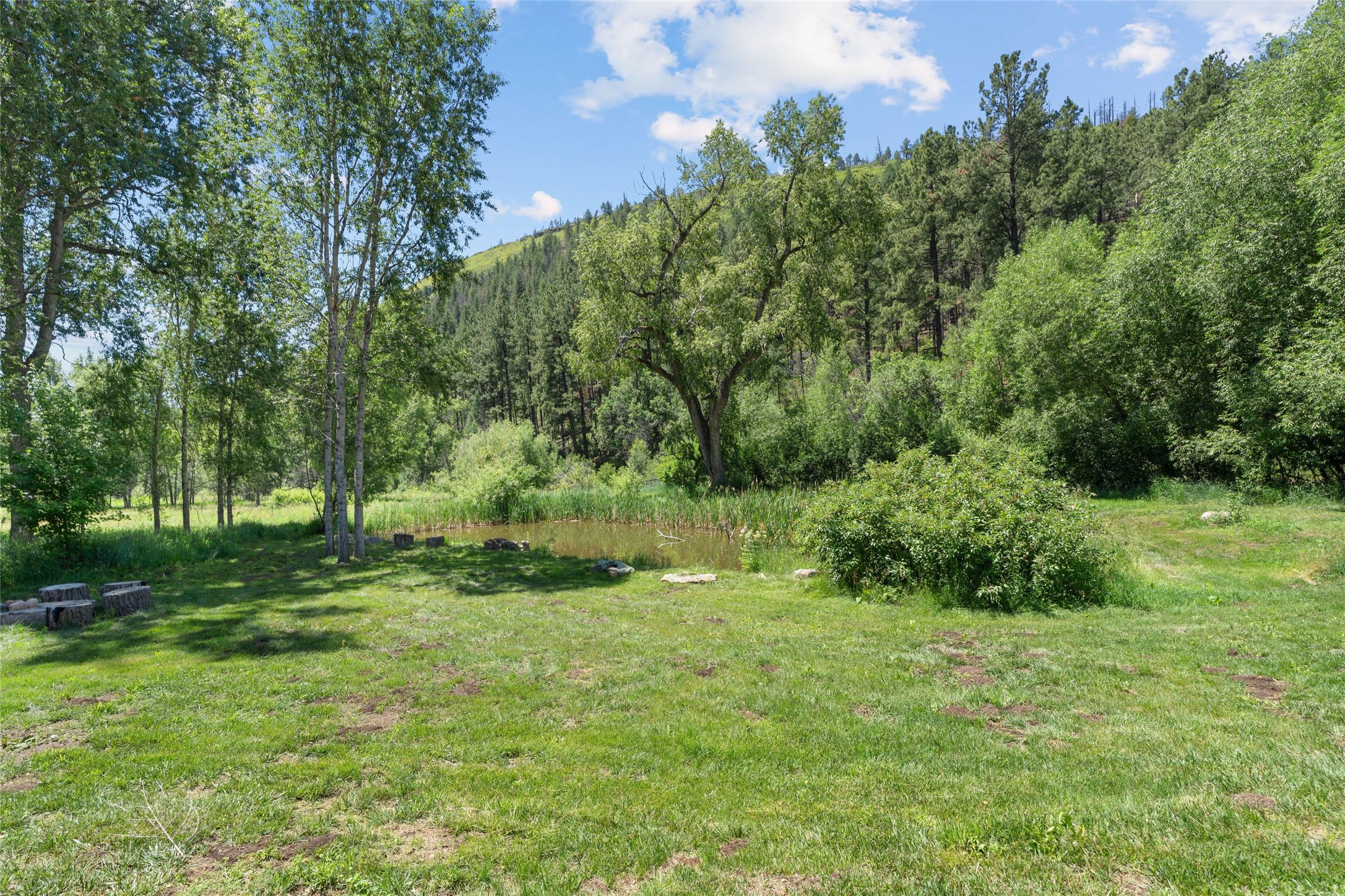  997 New Mexico Highway 65 - Rio de Vega Ranch - 物件實景