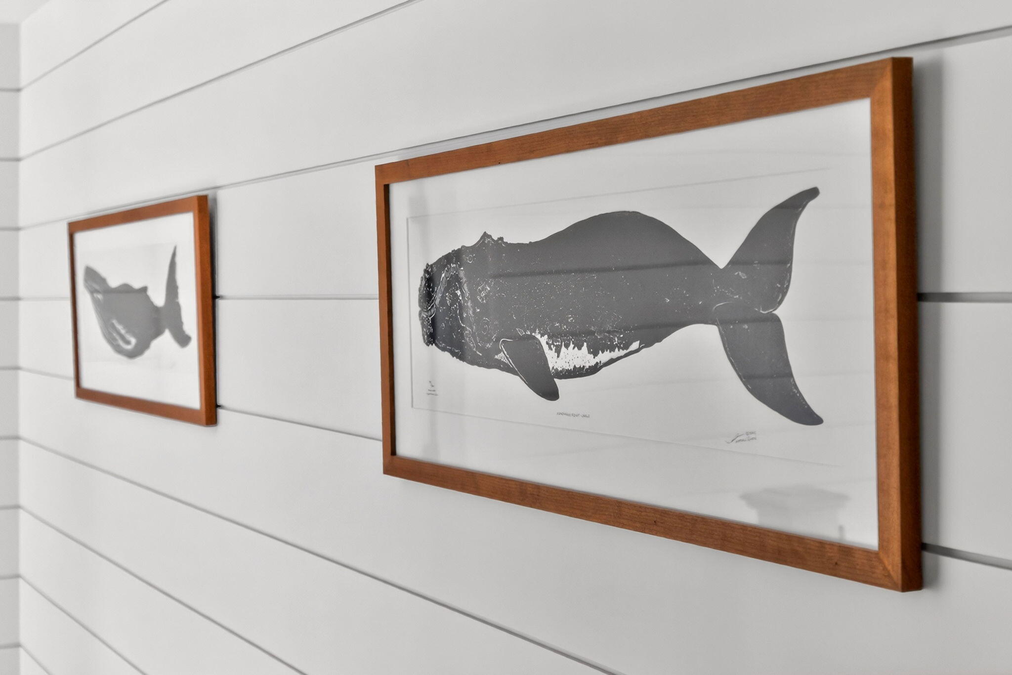  102 Waterford Drive - 物件實景