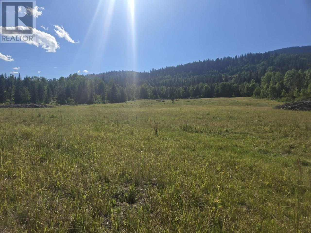 FALKLAND, British Columbia, V0E 1W1, CA, ,Residential,For Sale,1906760