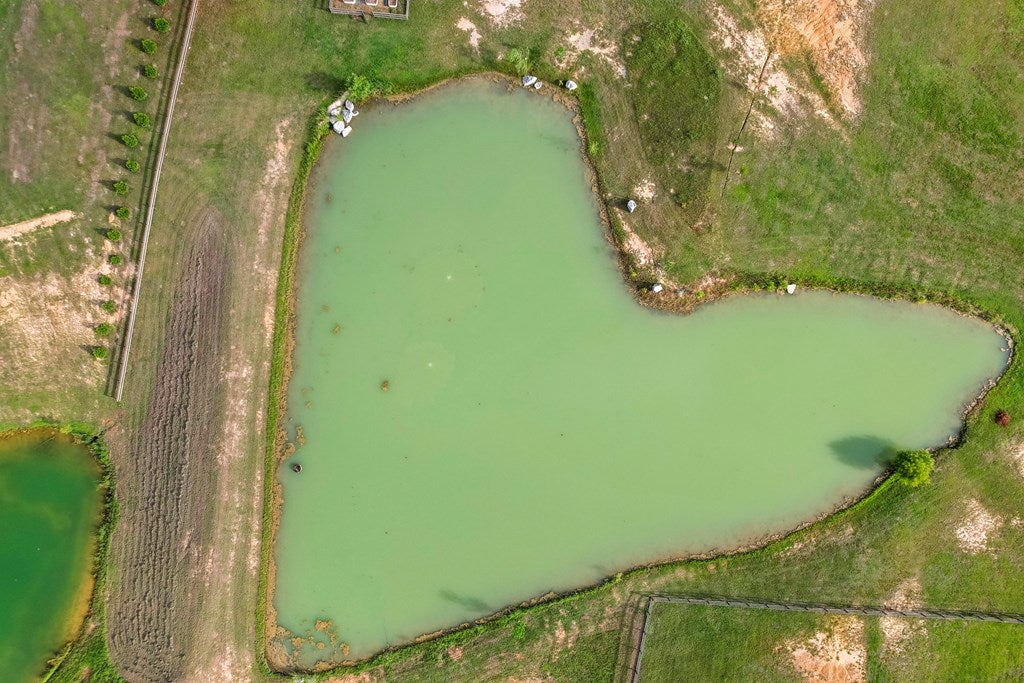 Newton, Alabama, 36352, United States, 4 Bedrooms Bedrooms, ,3 BathroomsBathrooms,Residential,For Sale,1989704