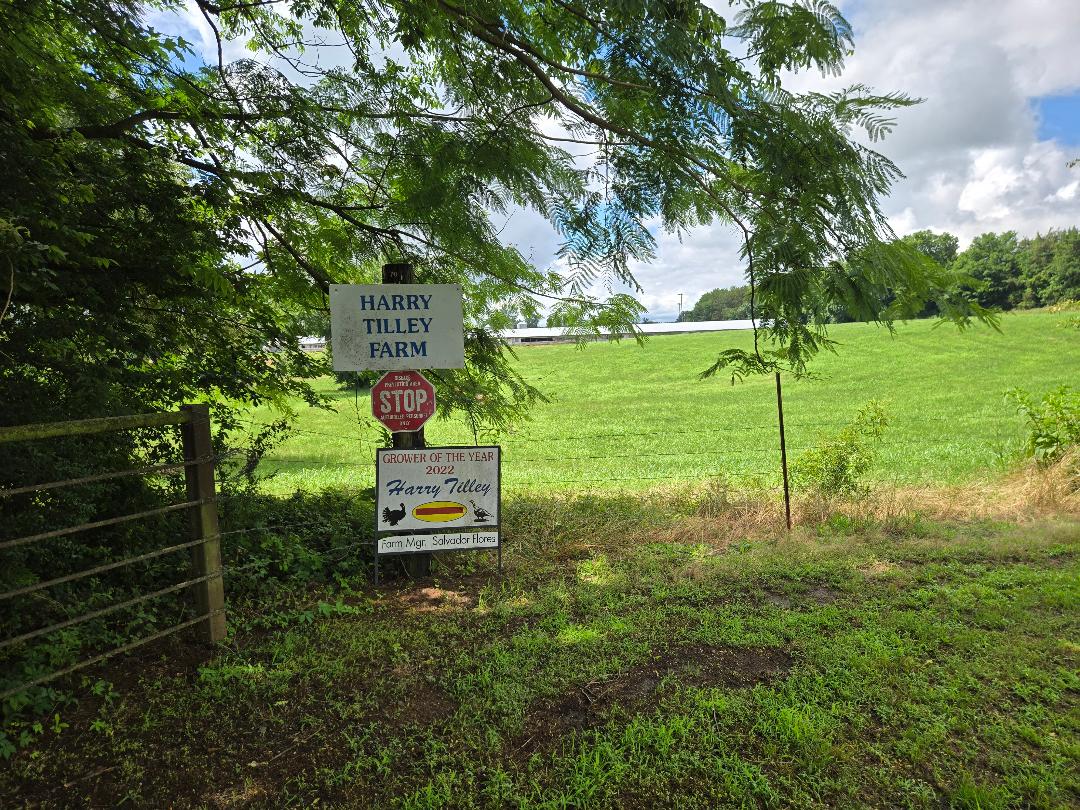 Lamar, Arkansas, 72846, United States, ,Residential,For Sale,2048201