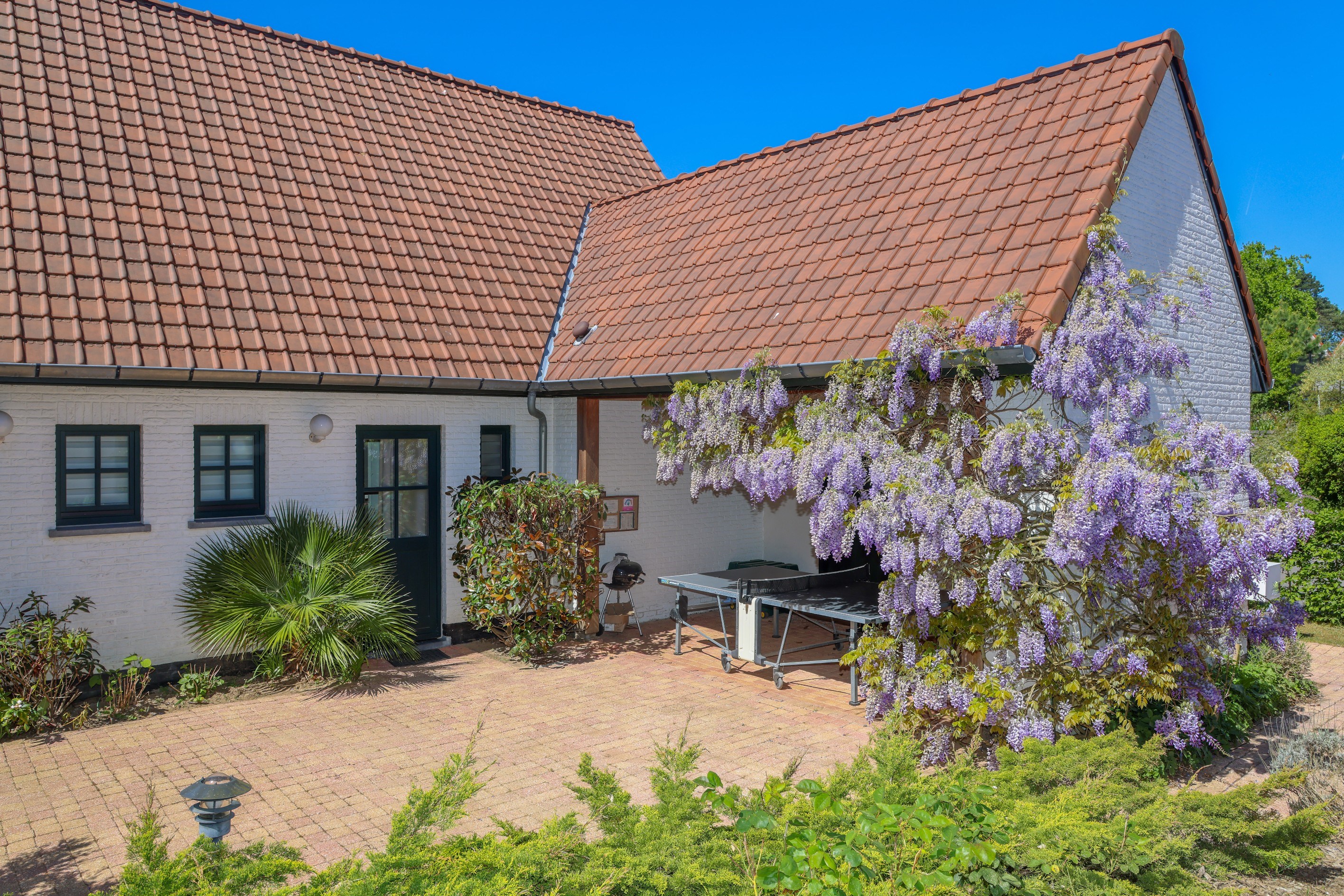  Hardelot -  A square farmhouse and its holiday cottages - 物件實景