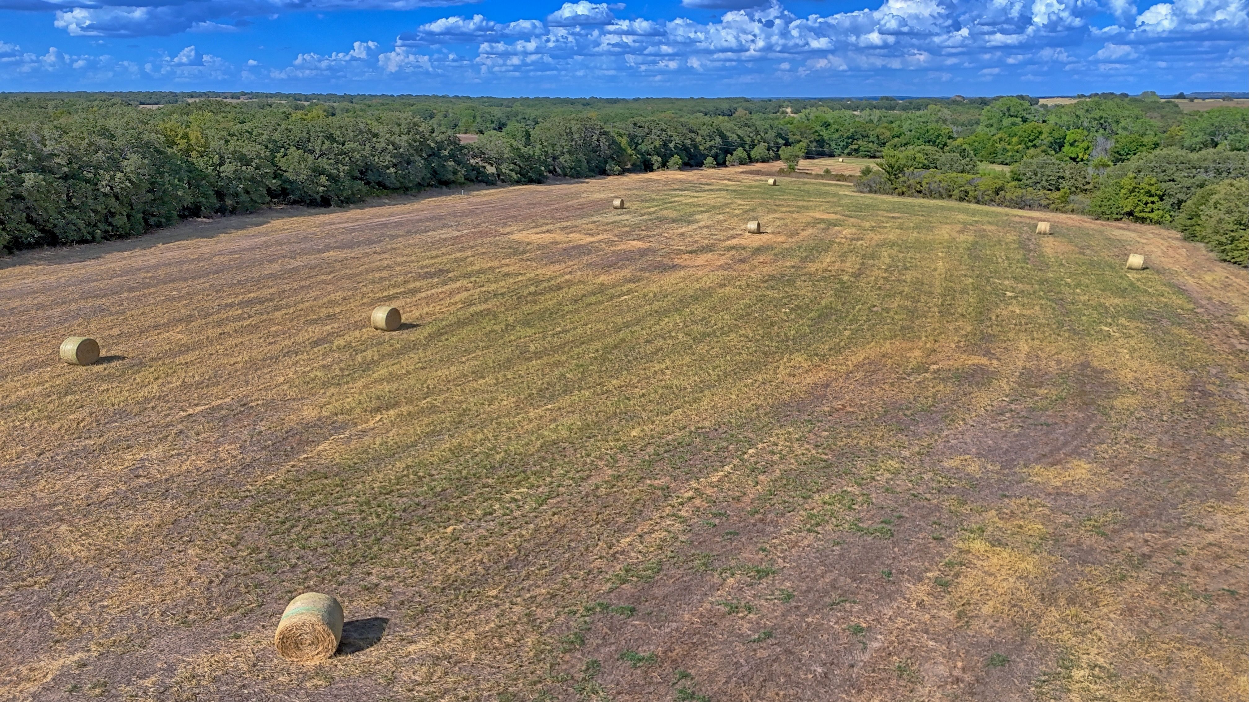  0 Deen Road, Bowie, TX, 76230 - 物件實景