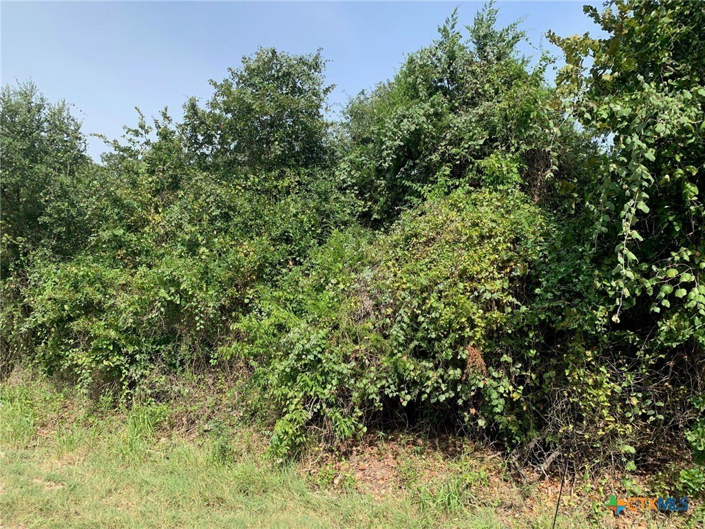 Chilton, Texas, 76632, United States, ,Residential,For Sale,1942716