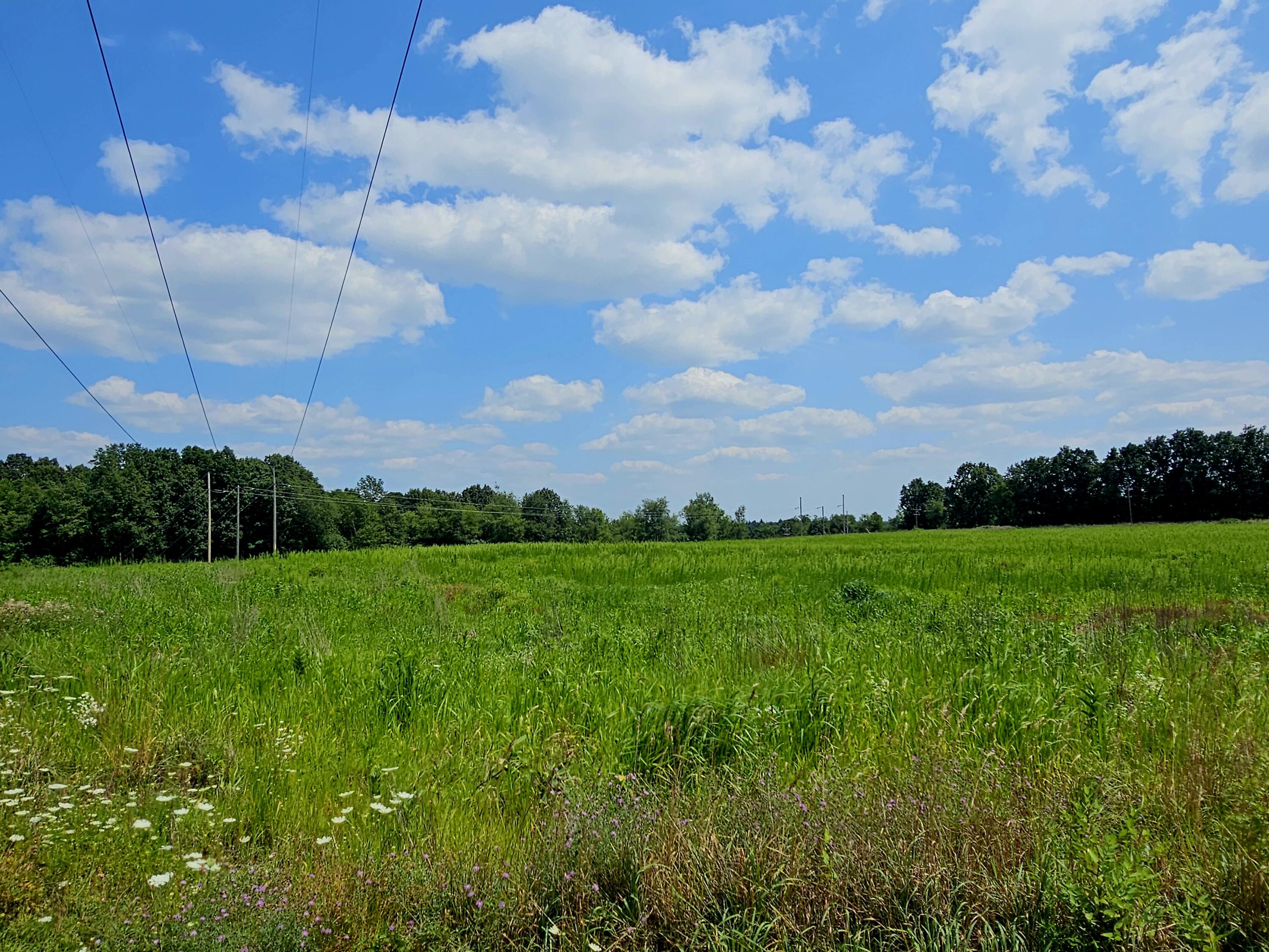 Jonesville, Michigan, 49250, United States, ,Land,For Sale,1975283