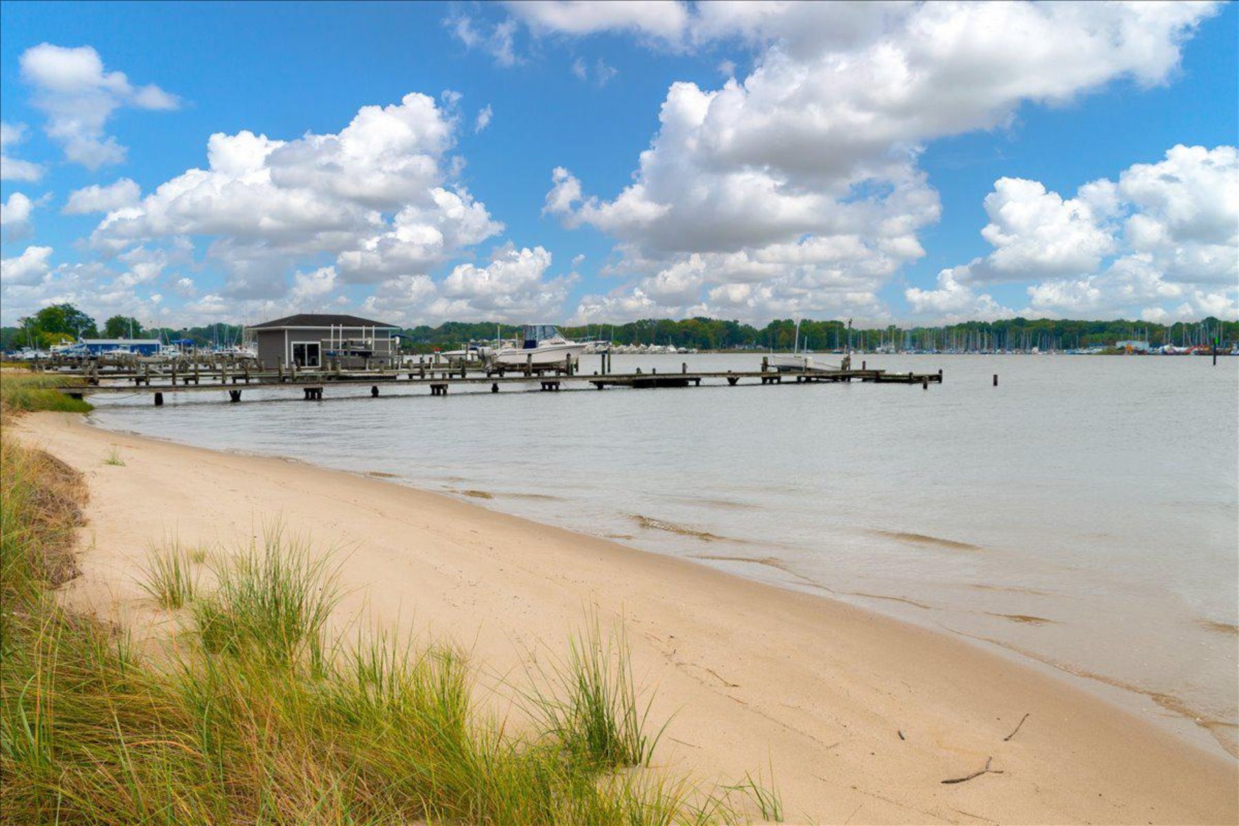  1117 Wilson Drive, Edgewater, MD, 21037 - 物件實景