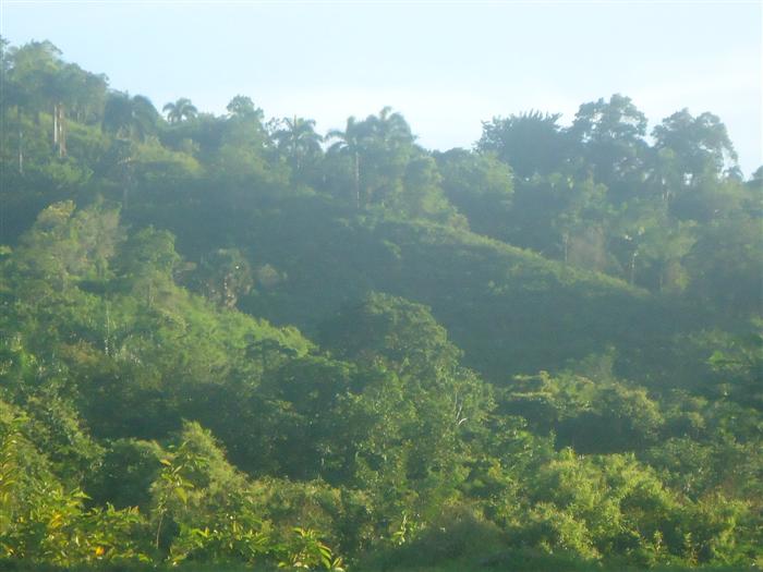 Sosua, DO, ,Land,For Sale,1907568