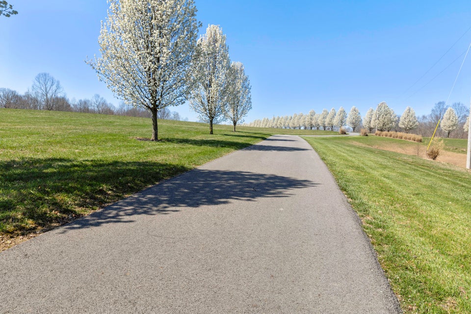 Dunnville, Kentucky, 42528, United States, 6 Bedrooms Bedrooms, ,5 BathroomsBathrooms,Residential,For Sale,1998018