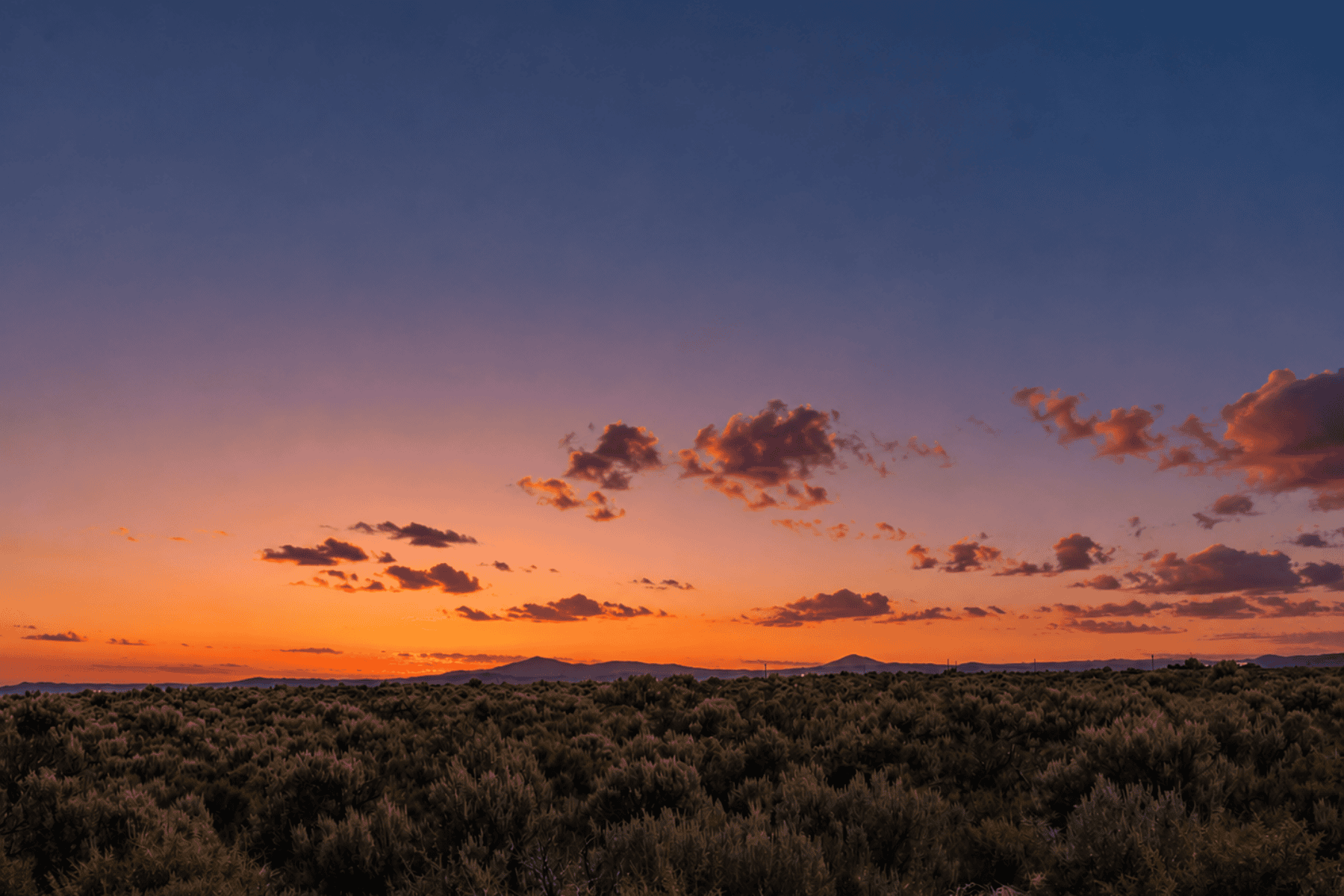  600 SE Carrico Road Christmas Valley, OR 97641 - 物件實景