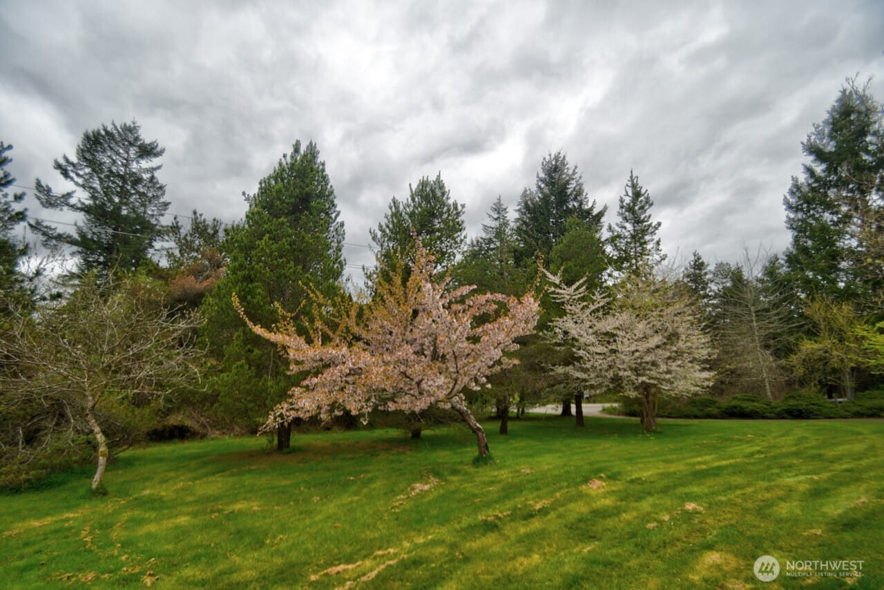 Olympia, Washington, 98512, United States, 4 Bedrooms Bedrooms, ,2 BathroomsBathrooms,Residential,For Sale,1796767