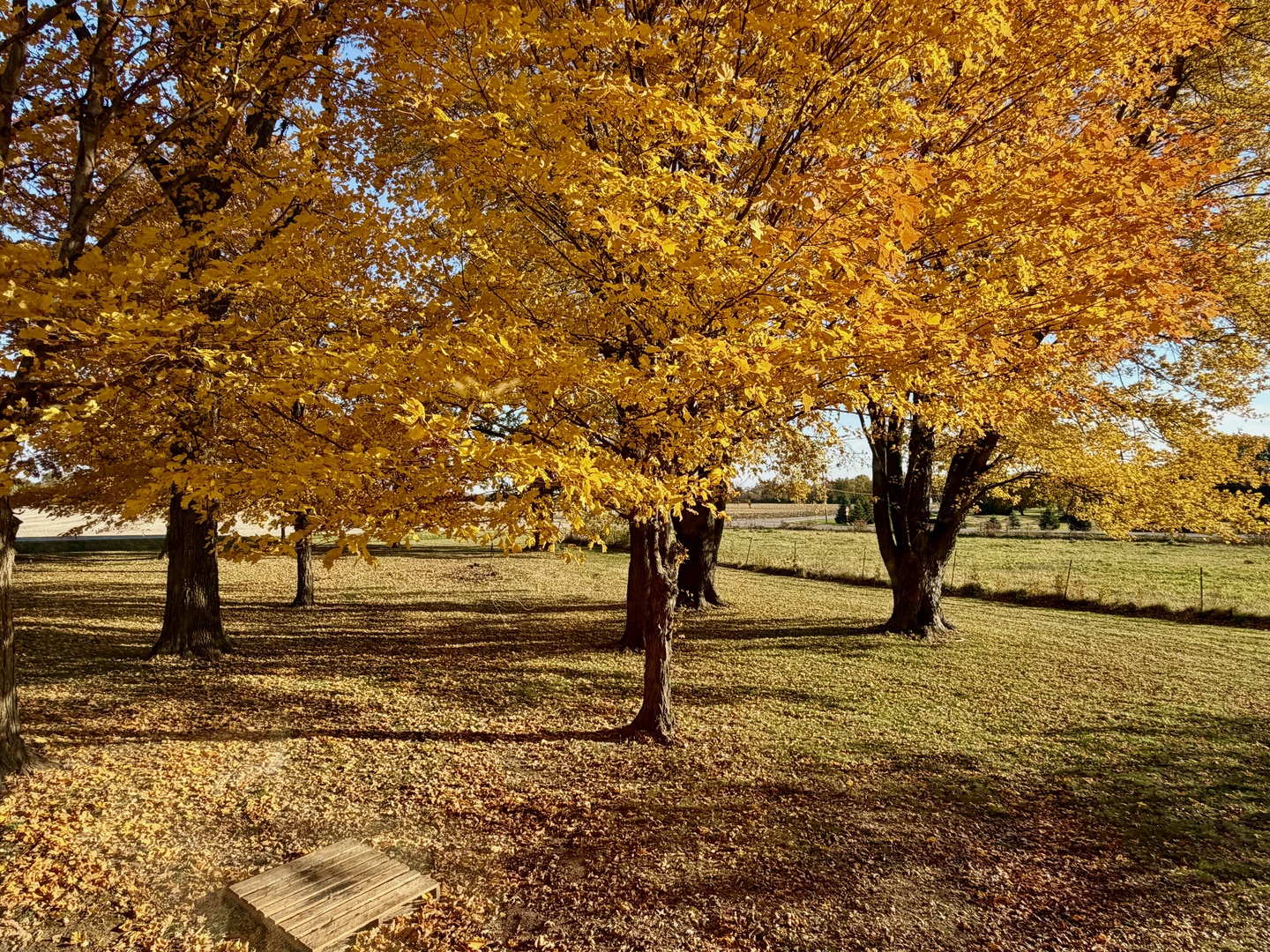 Sycamore, Illinois, 60178, United States, 4 Bedrooms Bedrooms, ,3 BathroomsBathrooms,Residential,For Sale,1988163