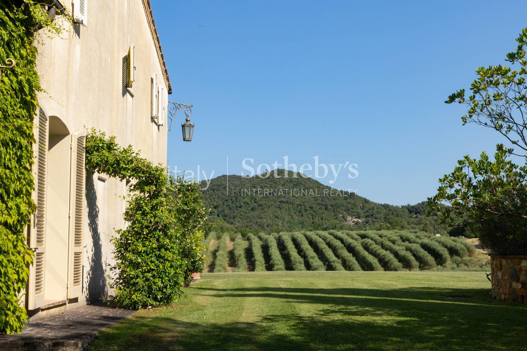 Tuscan estate with vineyards and winery - 物件實景