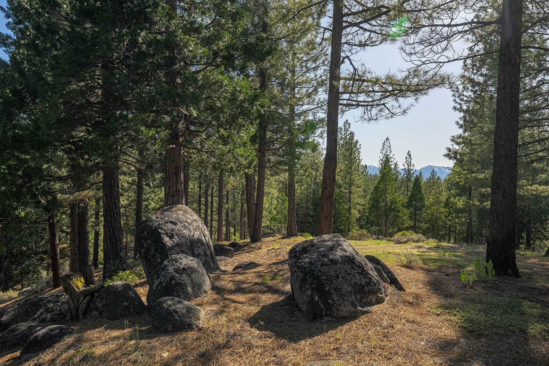  2.69 Private Acres in Nakoma with Stunning Eureka Peak Views - 物件實景