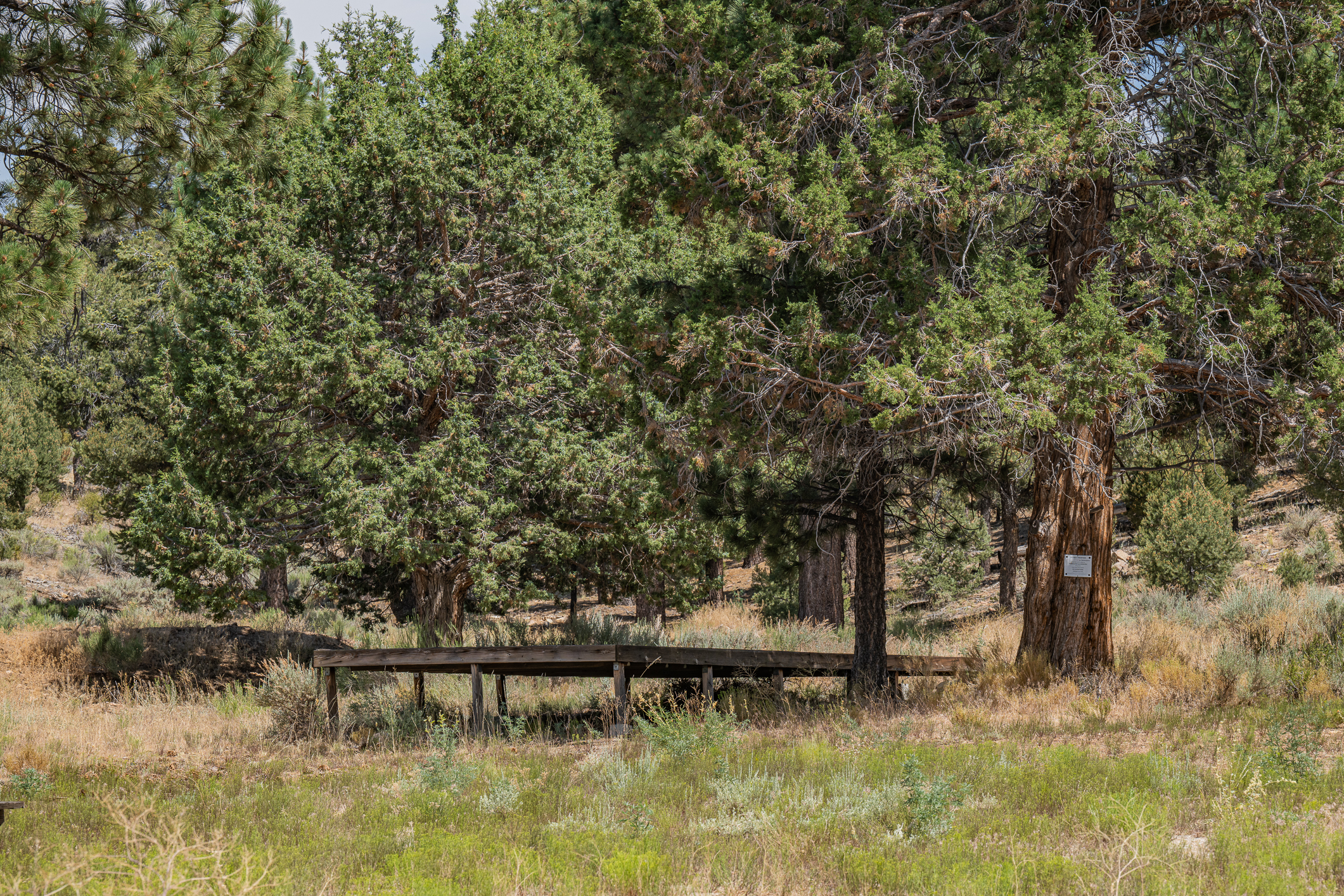  550 Eagle Ridge Road, Big Bear Lake, CA 92314 - 物件實景