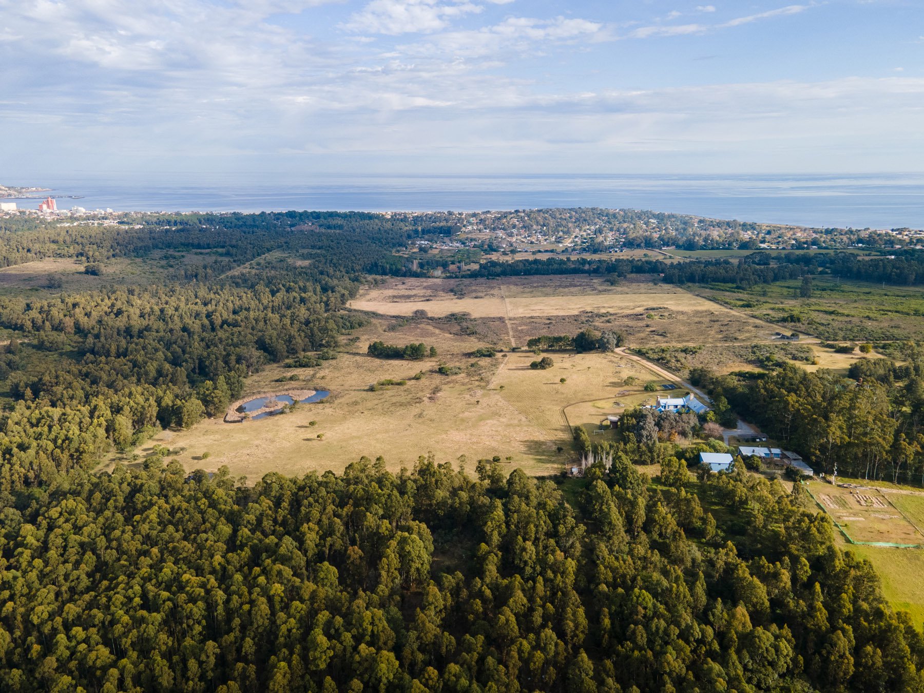  Farm with sea view on elevated land in Piriápolis - 物件實景