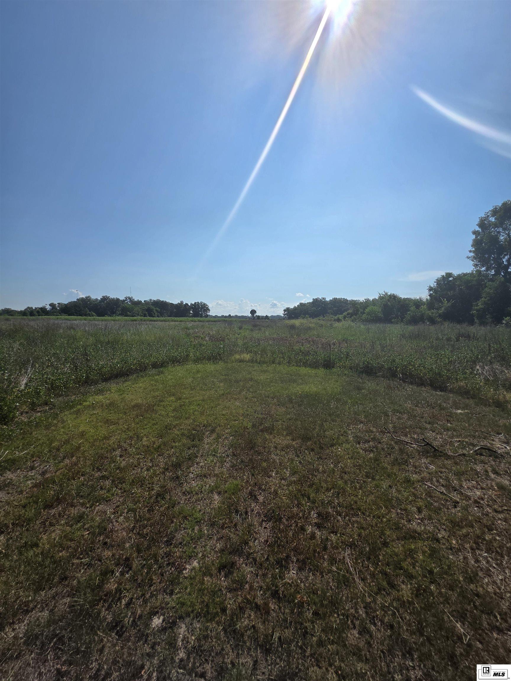 Rayville, Louisiana, 71269, United States, ,Residential,For Sale,1916667