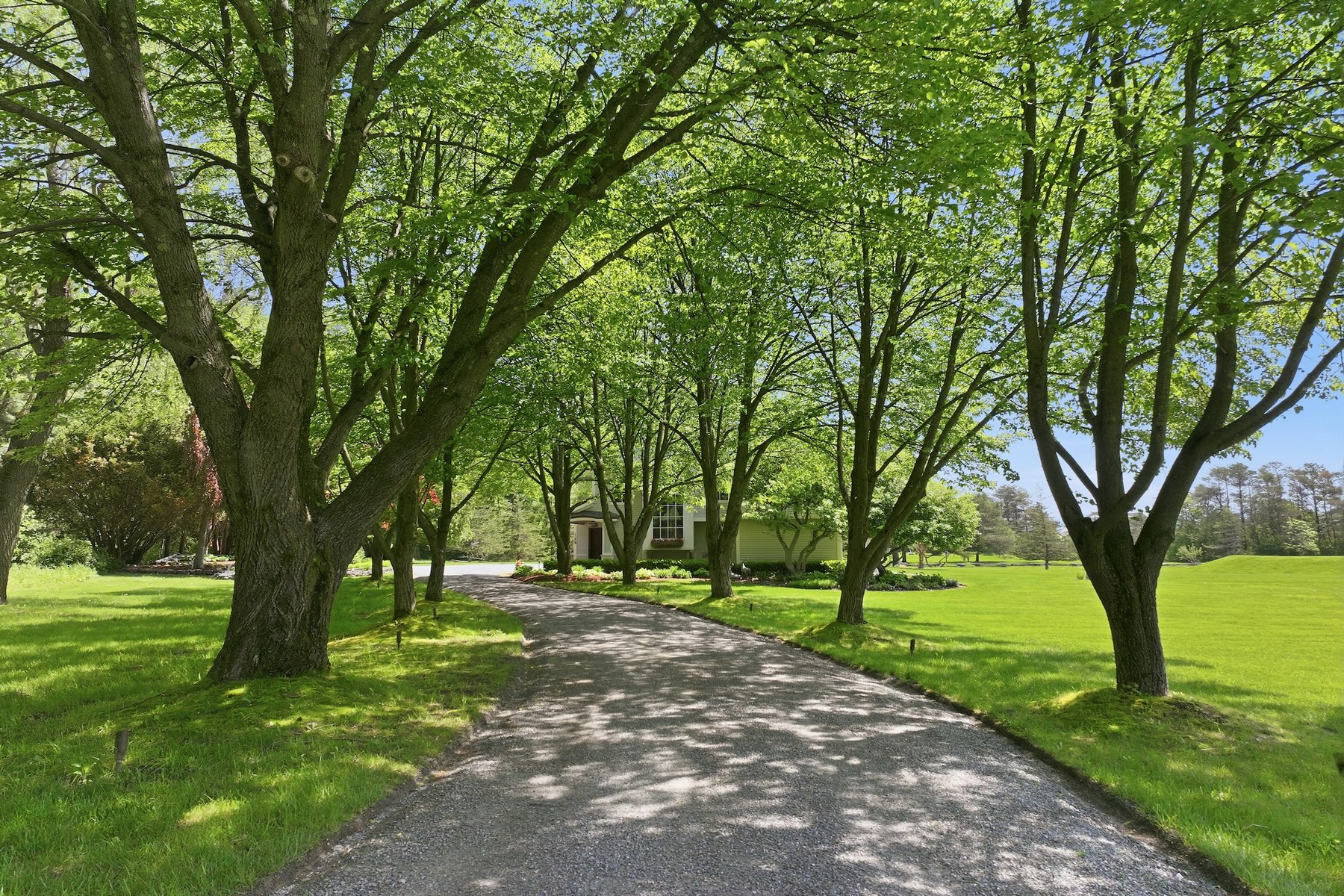  145 Cannon Point Road - 物件實景