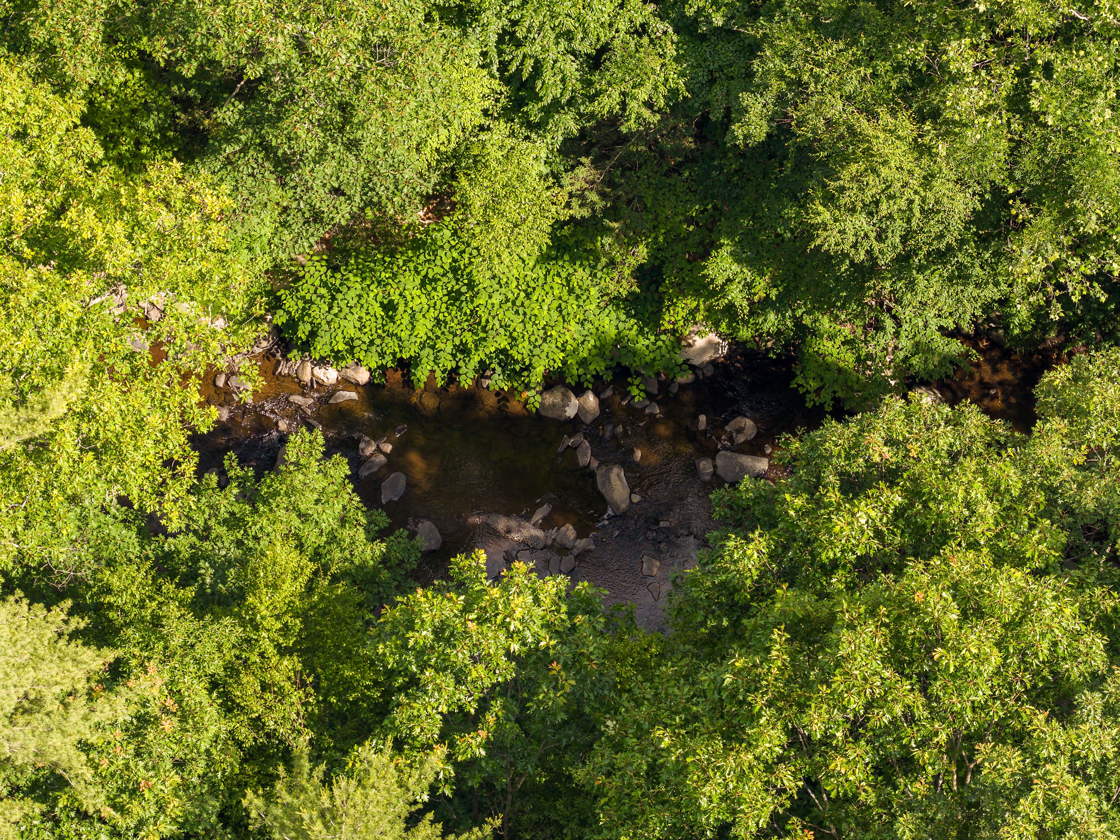  35 Mountain Valley Road, Boiceville, NY, 12412 - 物件實景