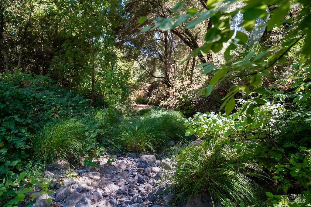 St. Helena, California, 94574, United States, ,Residential,For Sale,1846631