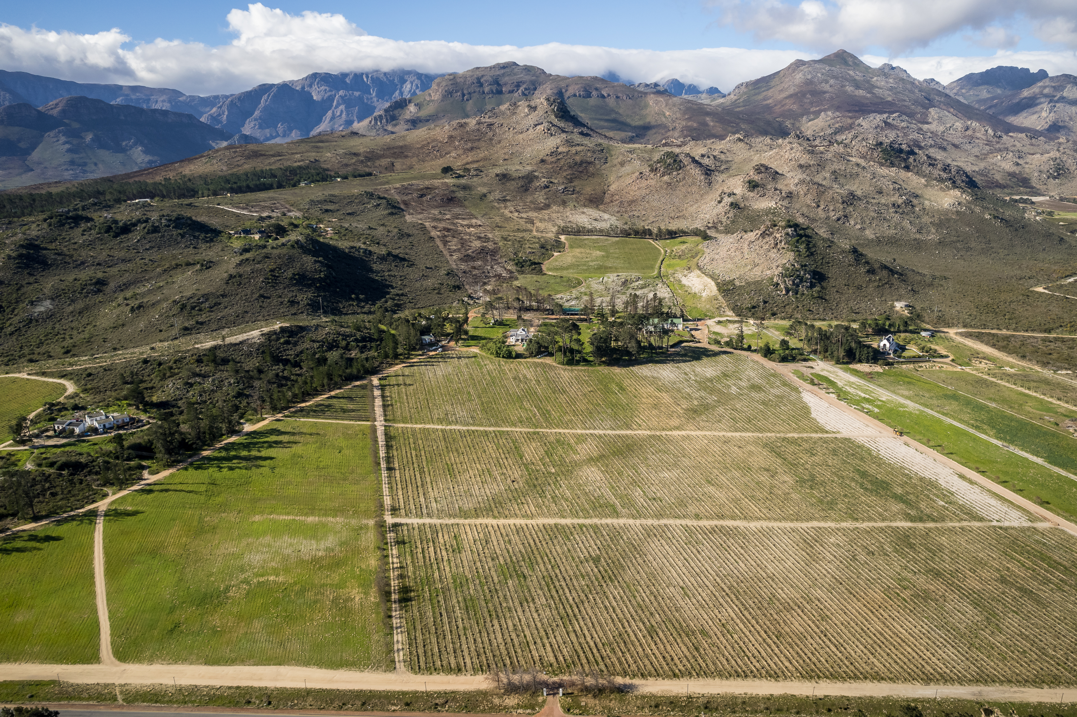  An Exceptional Boutique Wine Estate in the Heart of the Cape Winelands - 物件實景