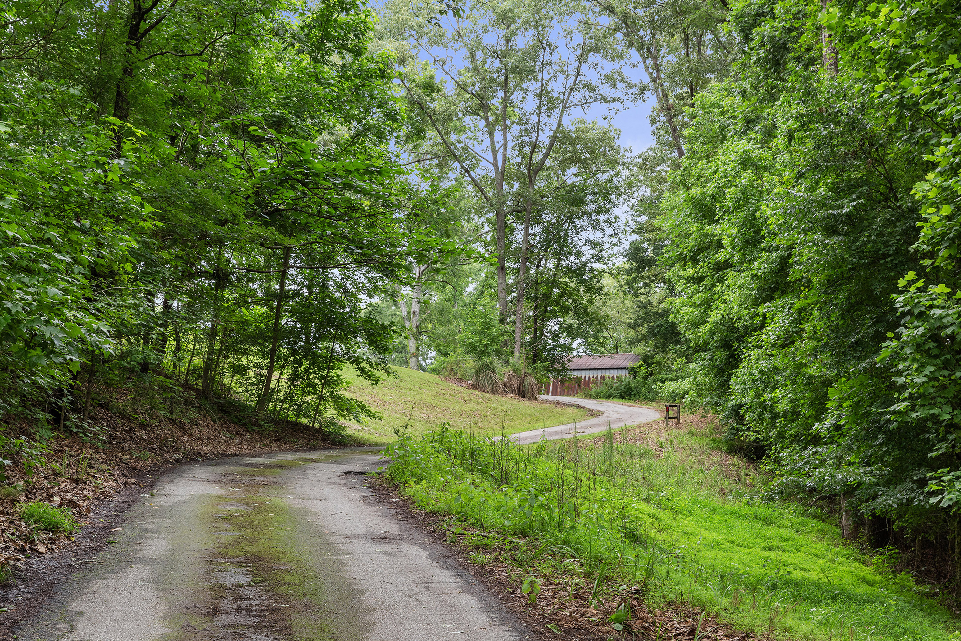  A Perfect Blend of Privacy and Natural Beauty in Newnan - 物件實景