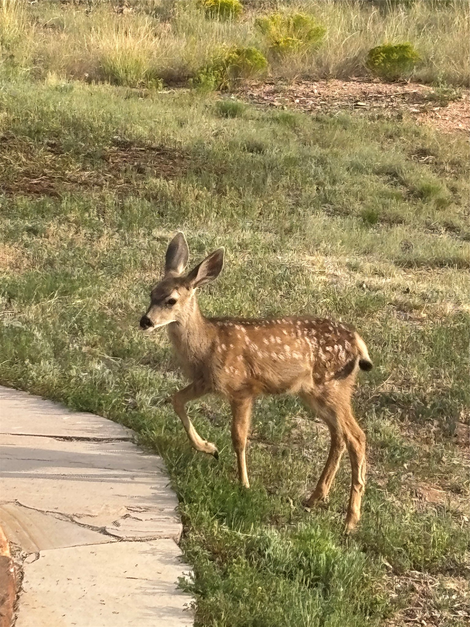  5 Estrella De La Manana - 物件實景