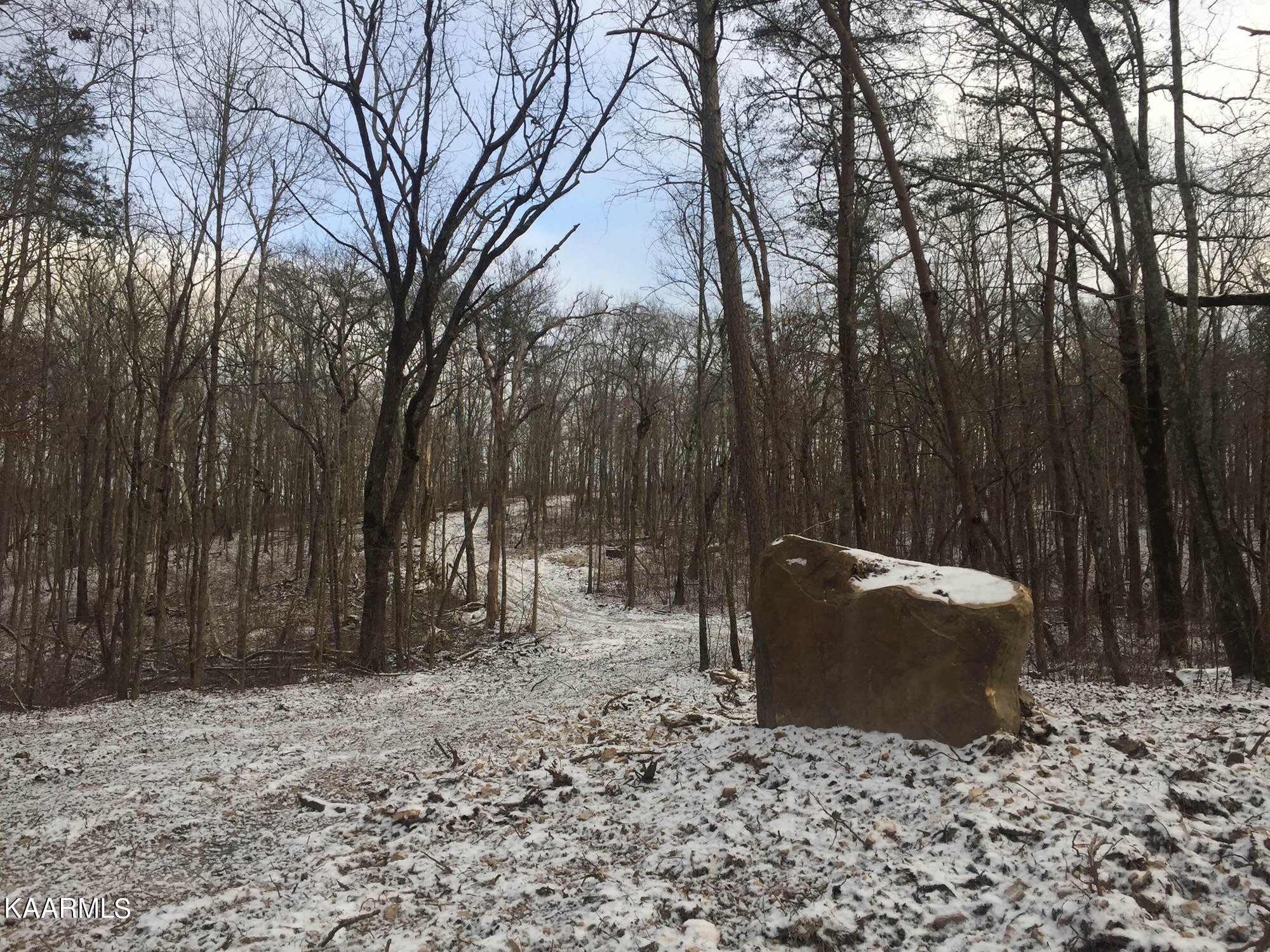 Pikeville, Tennessee, 37367, United States, ,Residential,For Sale,1943070