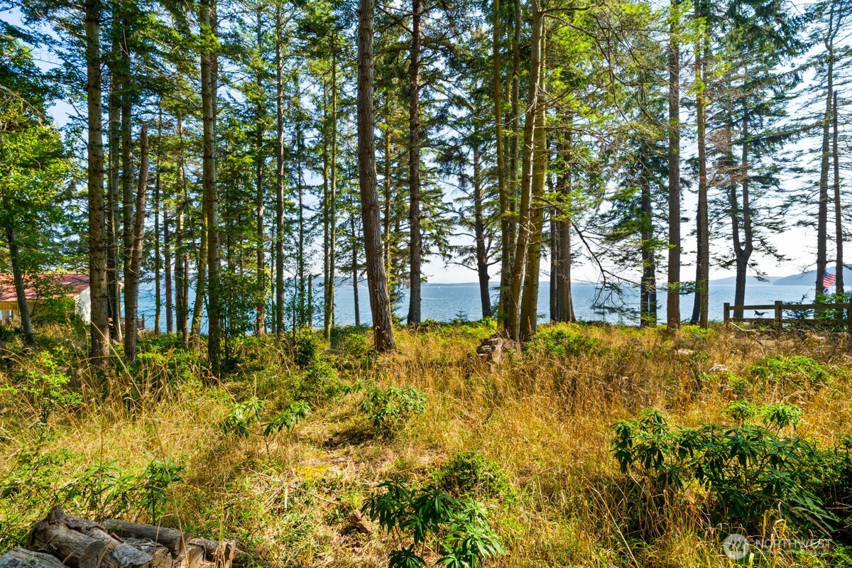 Friday Harbor, Washington, 98250, United States, ,Land,For Sale,1991261