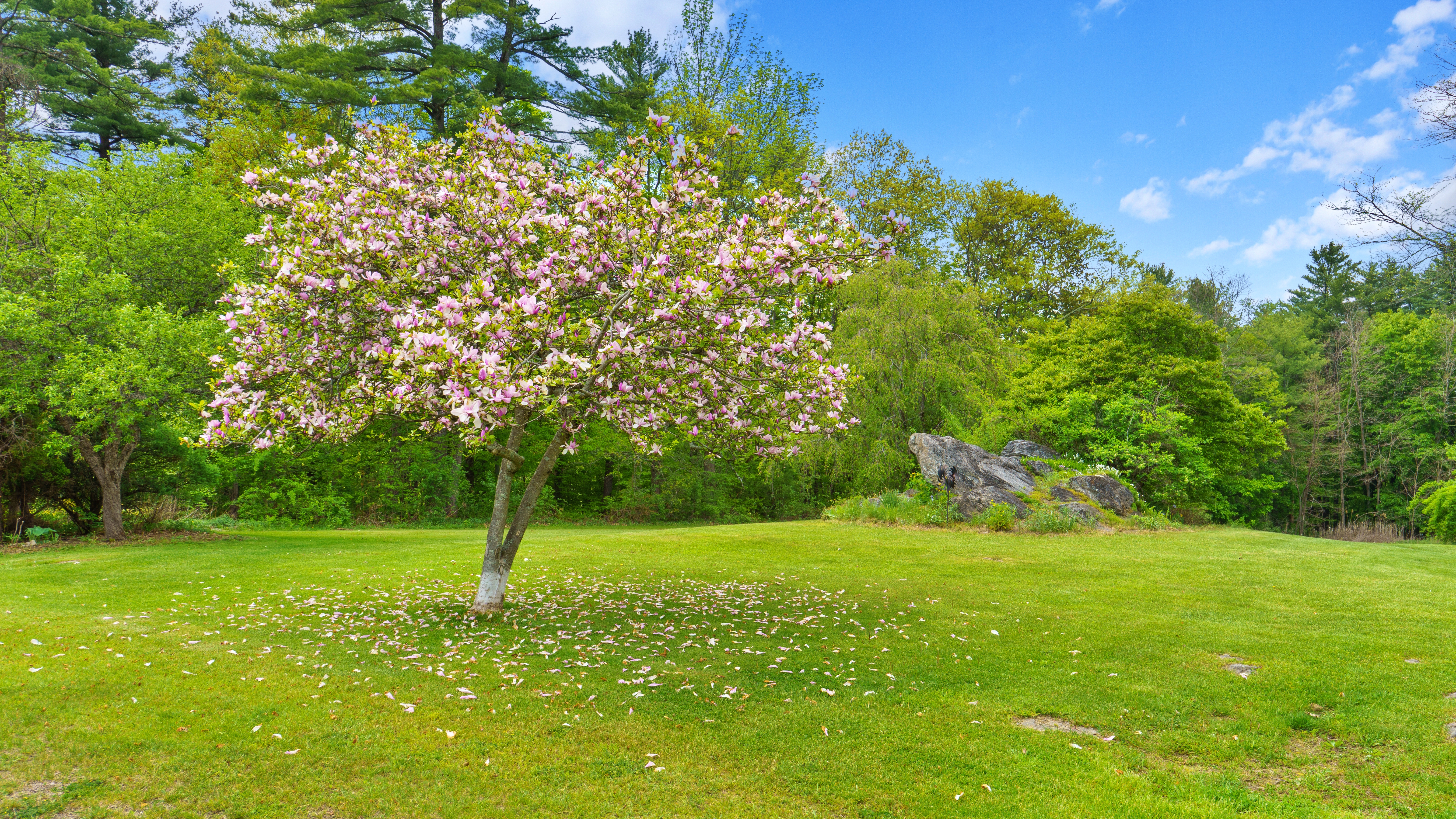  Just One Mile From the Heart of Lenox, Nearly 36 Acres Await Your Next Chapter - 物件實景