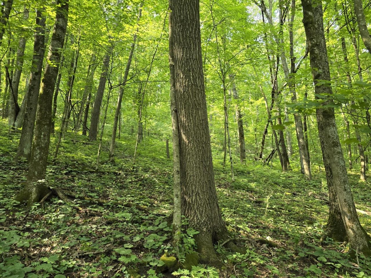 Gays Mills, Wisconsin, 54631, United States, 4 Bedrooms Bedrooms, ,3 BathroomsBathrooms,Residential,For Sale,1914318