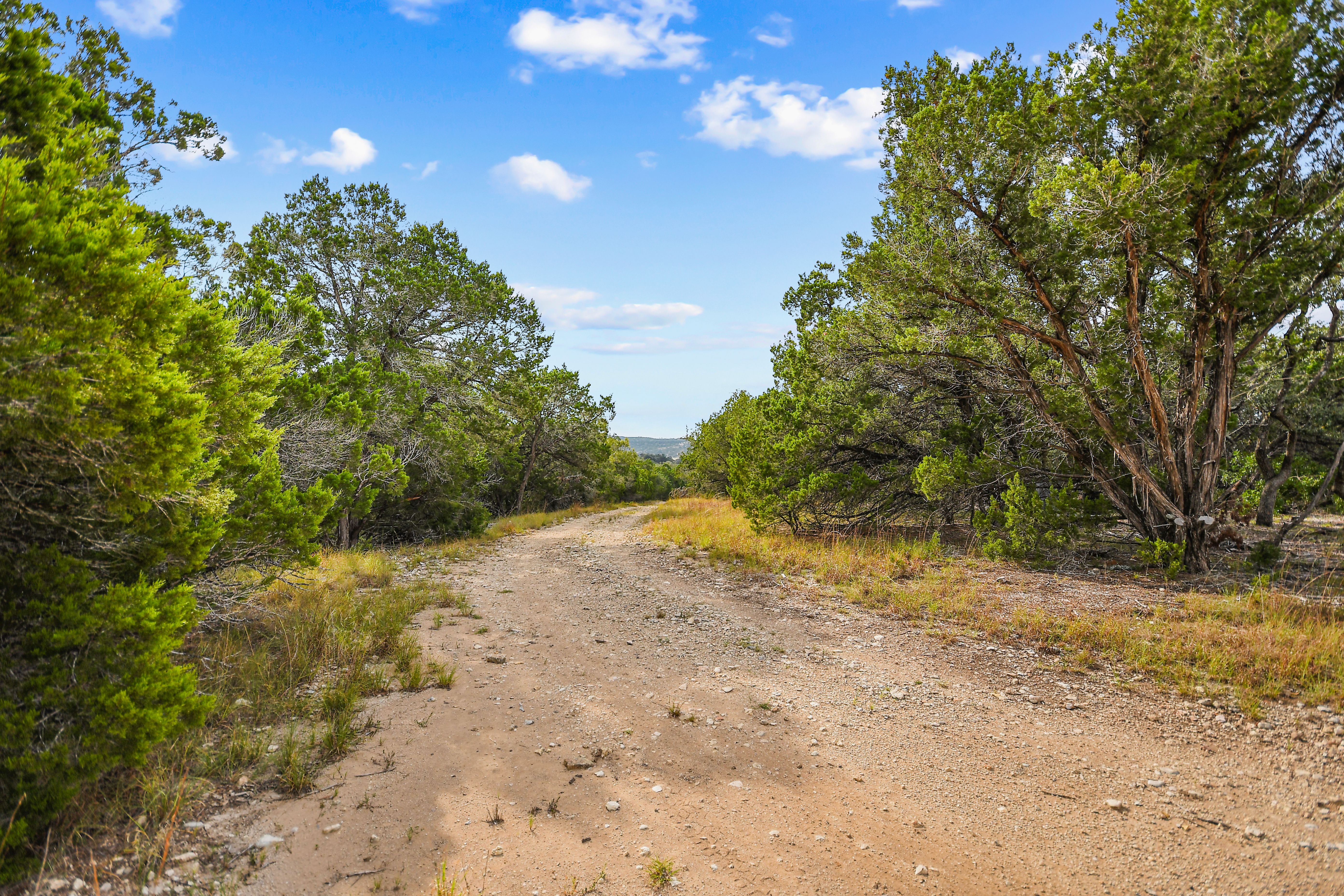  TBD Hwy 46 / Madrona Ranch Road, Pipe Creek, TX 78063 - 物件實景