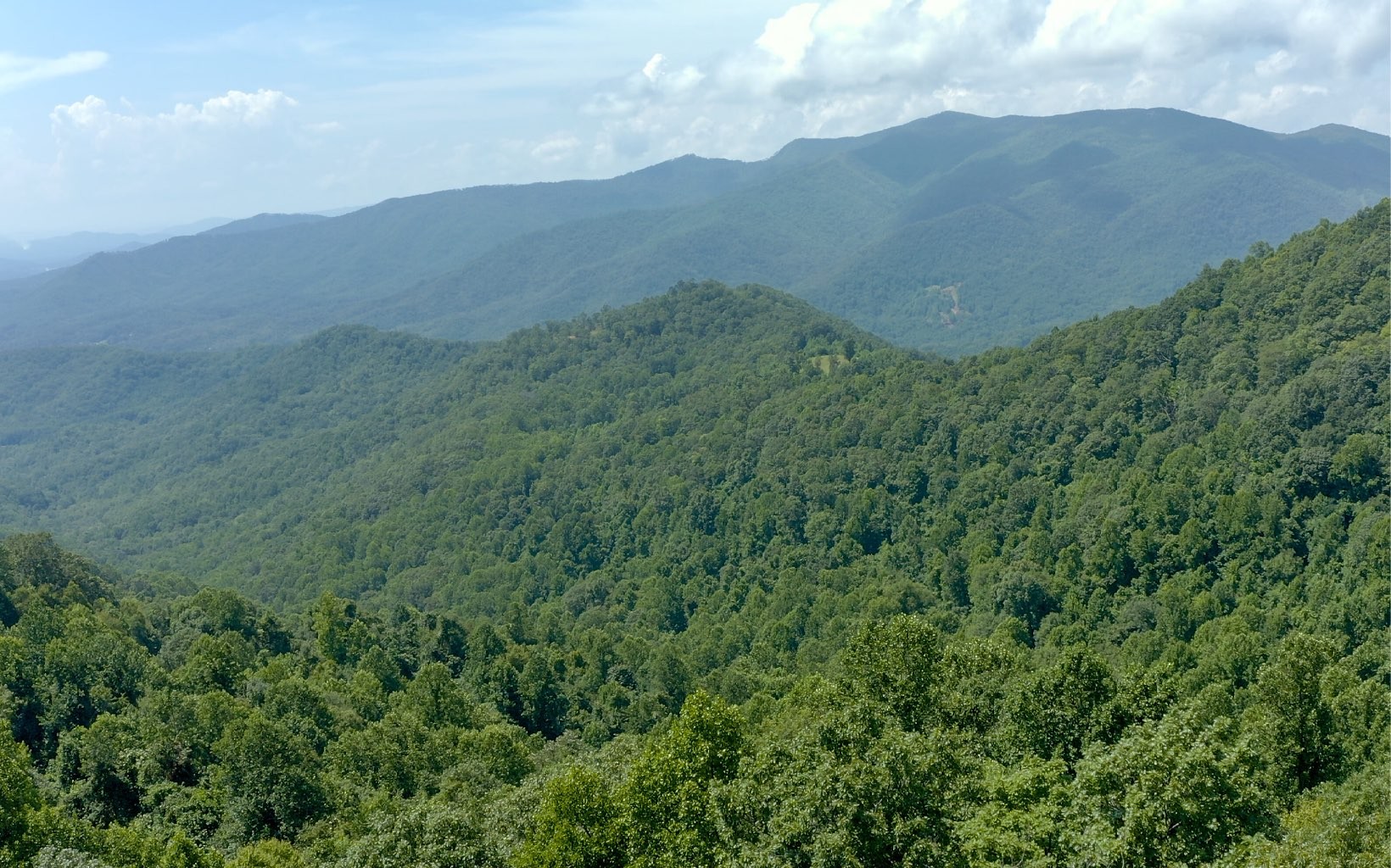 101ac Lori'S Mountain, Hayesville, North Carolina, 28904, United States, ,Residential,For Sale,101ac Lori'S Mountain,1304629