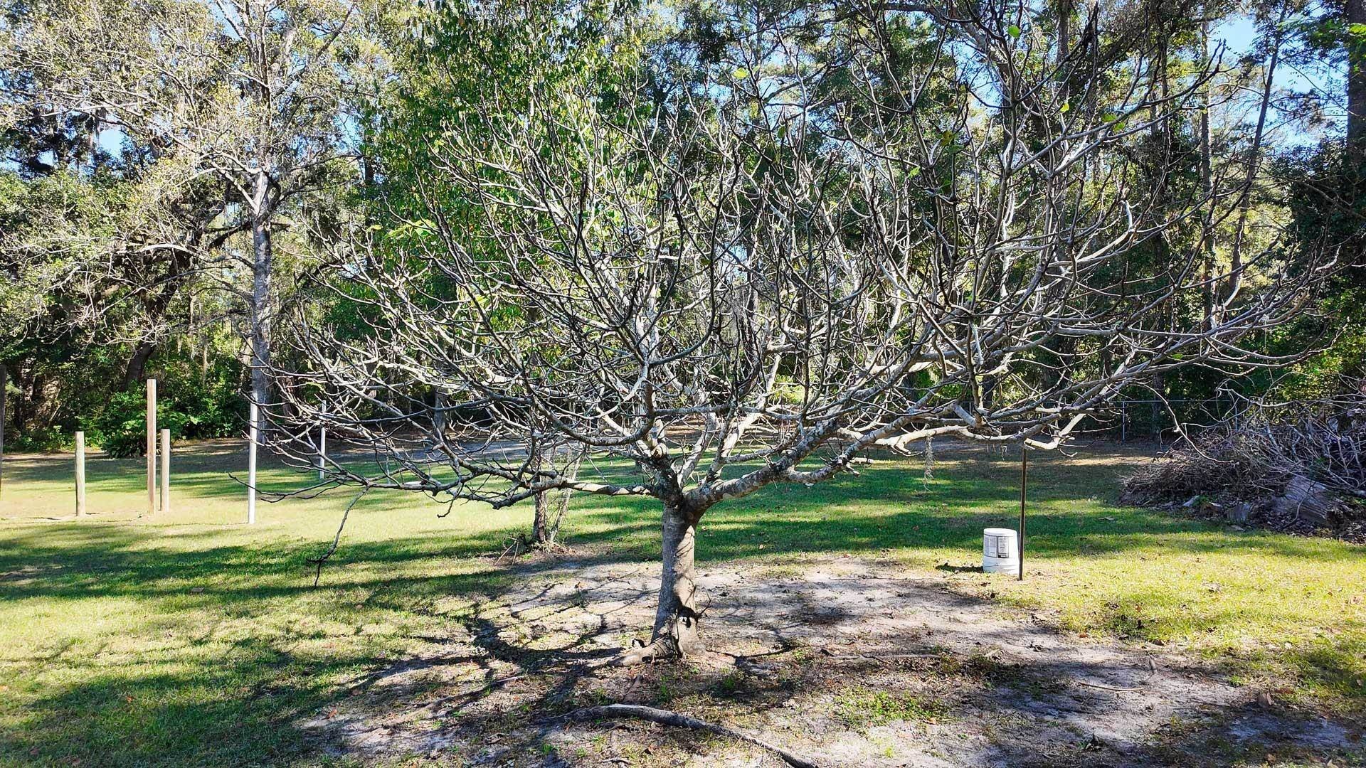 Monticello, Florida, 32344, United States, 3 Bedrooms Bedrooms, ,3 BathroomsBathrooms,Residential,For Sale,1987417