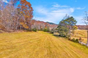 Fincastle, Virginia, 24090, United States, ,Residential,For Sale,1989448