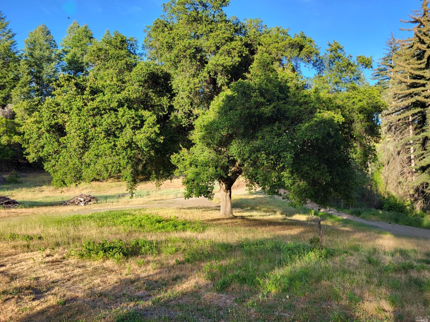 6200 cavedale RD, Glen Ellen, California, 95442, United States, 4 Bedrooms Bedrooms, ,4 BathroomsBathrooms,Residential,For Sale,6200 cavedale RD,1341783