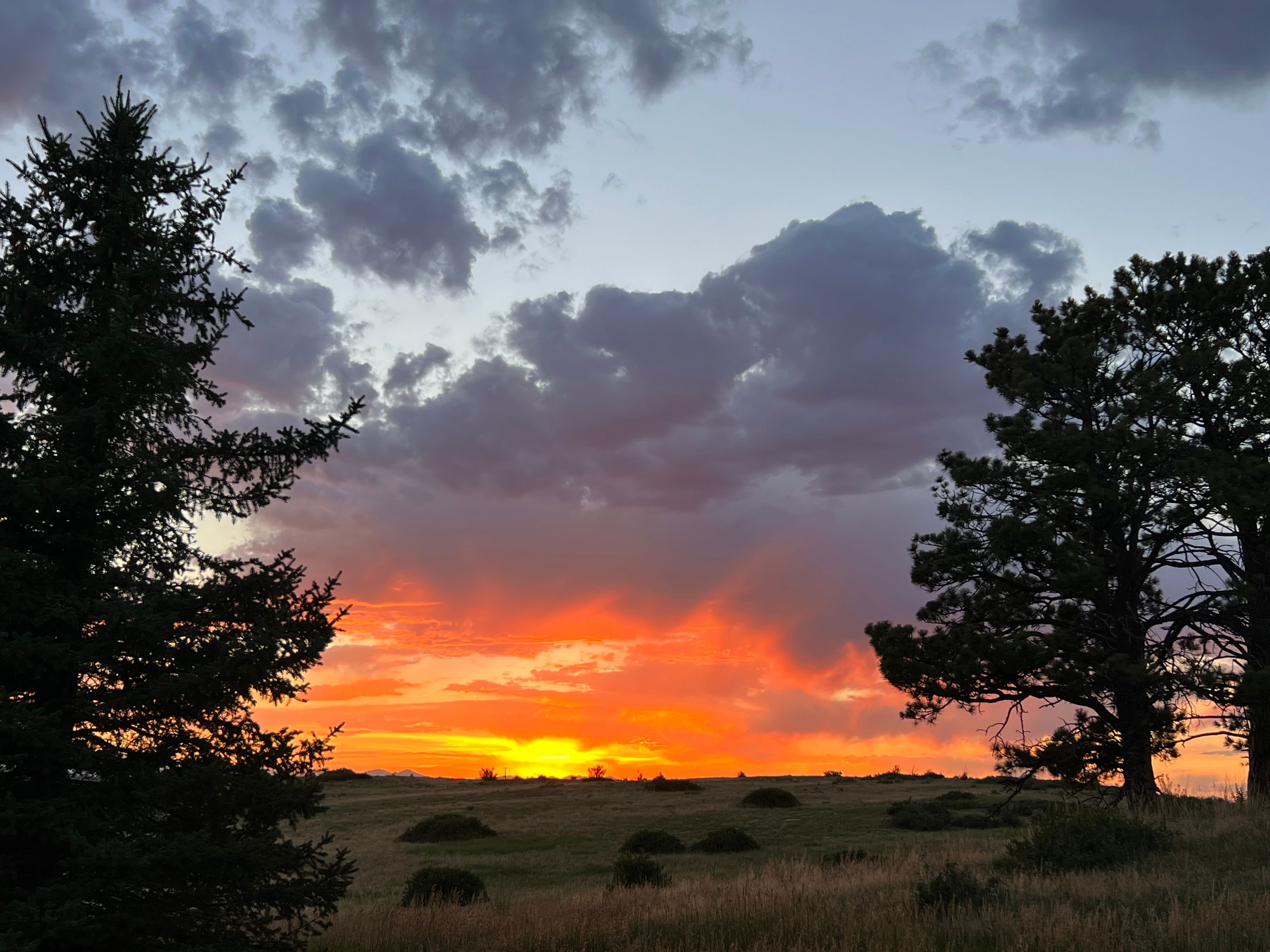  Privacy and a True Connection to Colorado’s Beauty - 物件實景