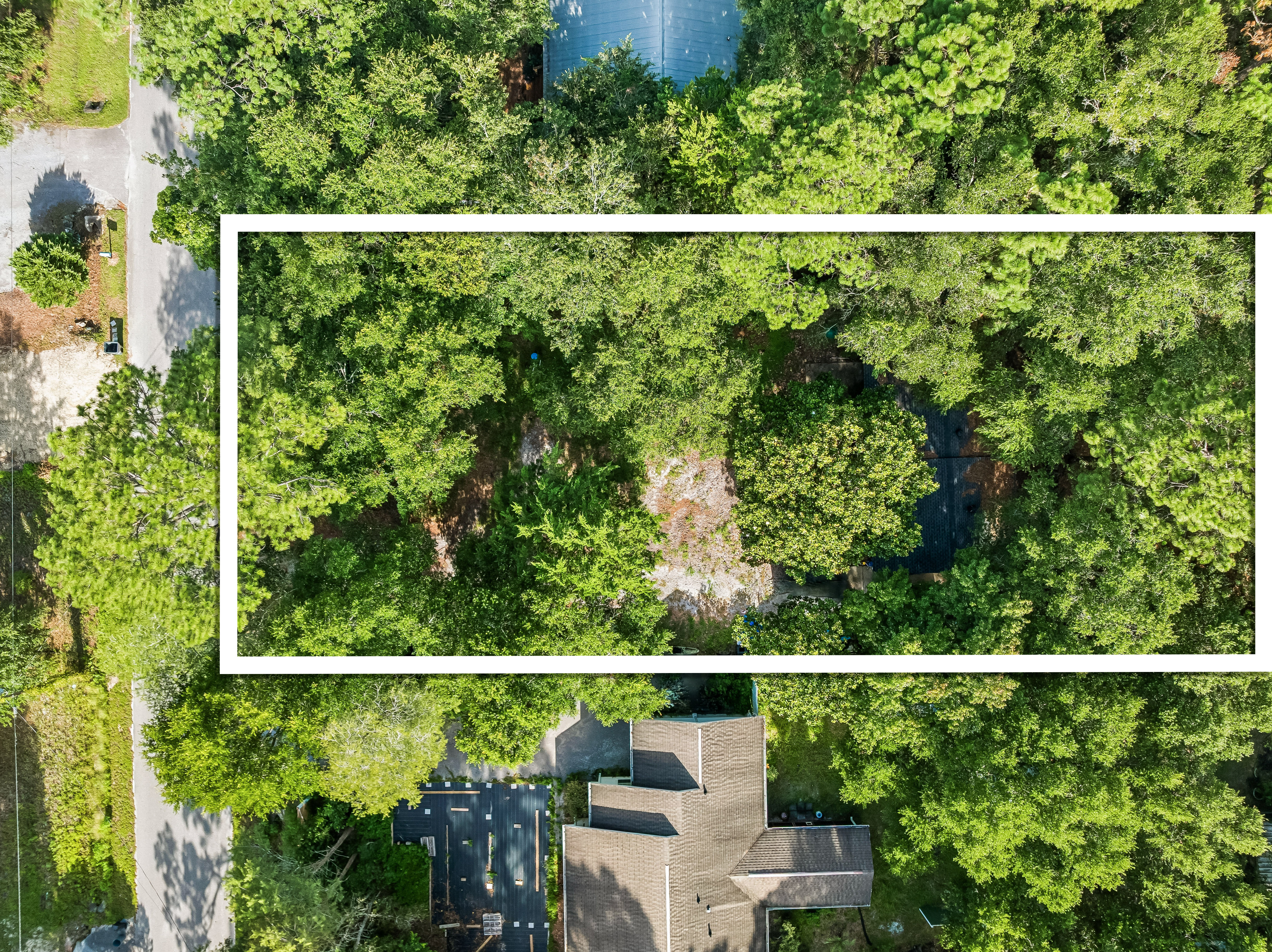  .25 Acre Lot in Daughettes of Point Washington - 物件實景