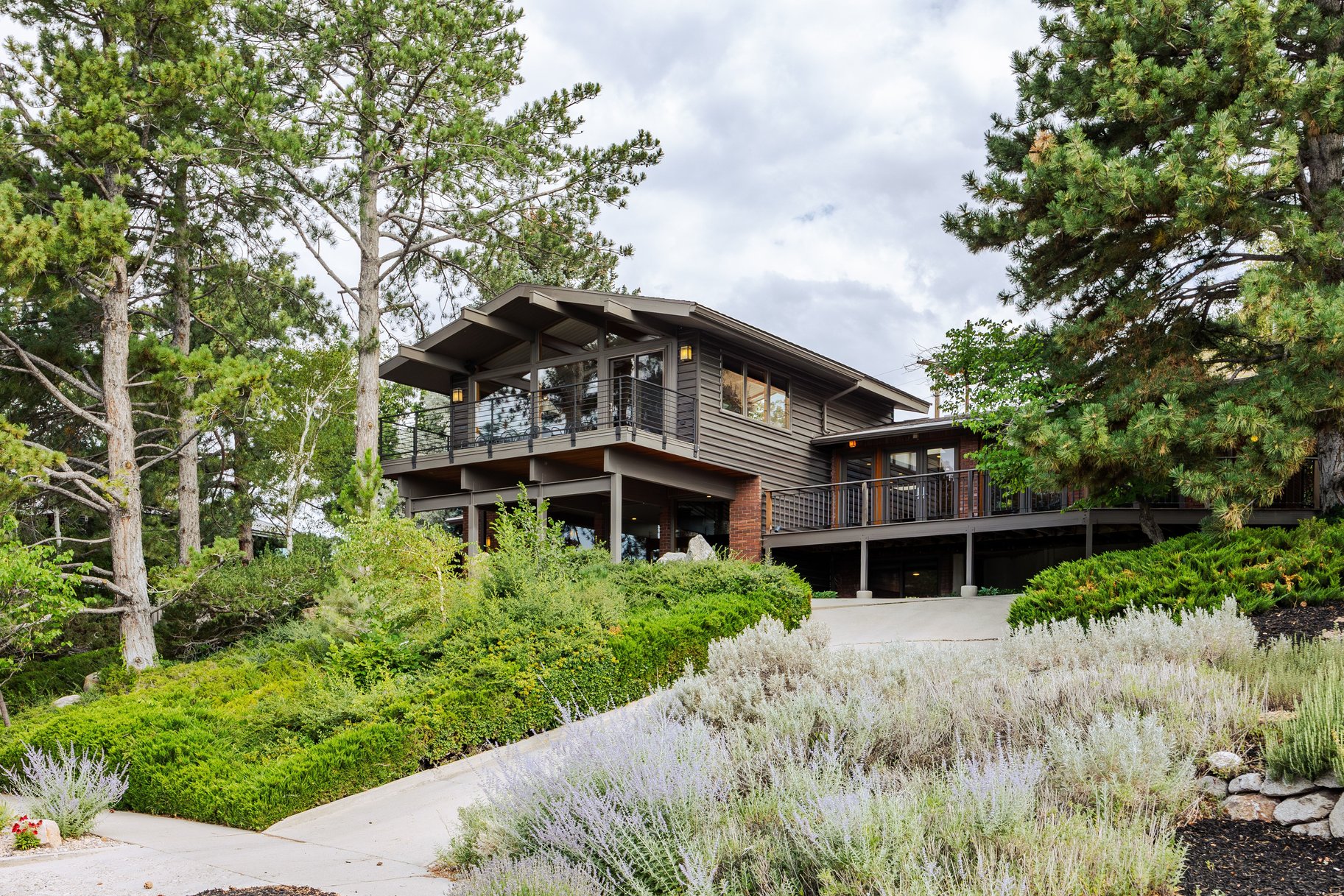  In the Tree Midcentury Modern Backing up to Shoreline Trail - 物件實景