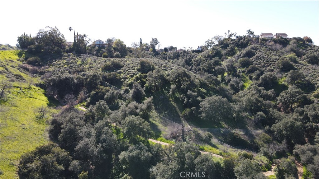 0 Paseo Al Deano, San Dimas, California, 91773, United States, ,Land,For Sale,0 Paseo Al Deano,1340667
