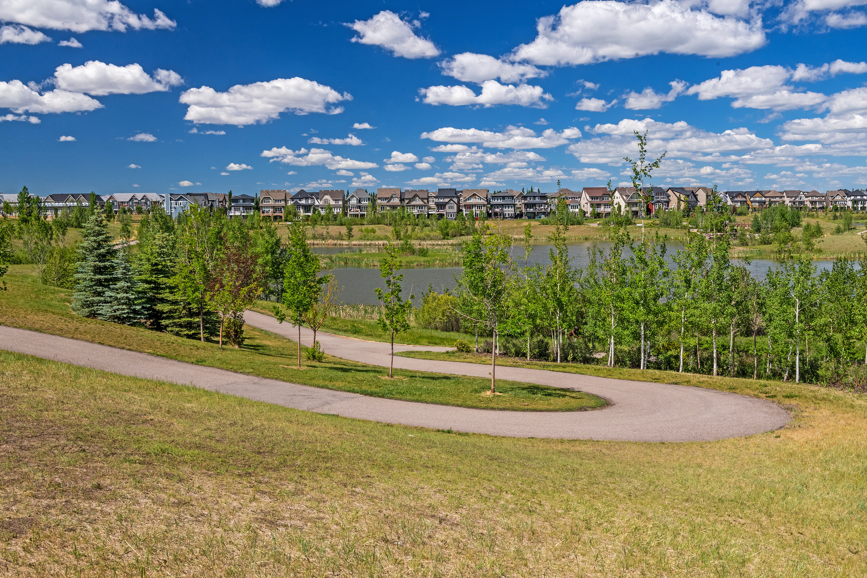  Calgary, Calgary and Foothills - 物件實景