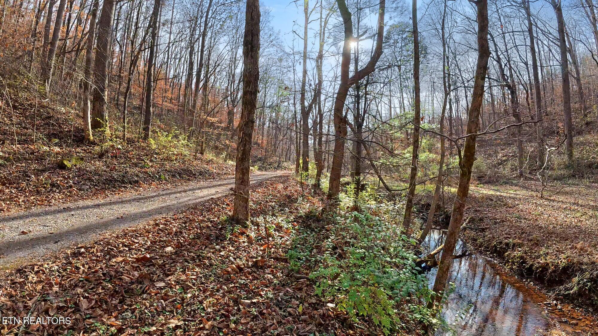 Englewood, Tennessee, 37329, United States, 2 Bedrooms Bedrooms, ,3 BathroomsBathrooms,Residential,For Sale,2002536