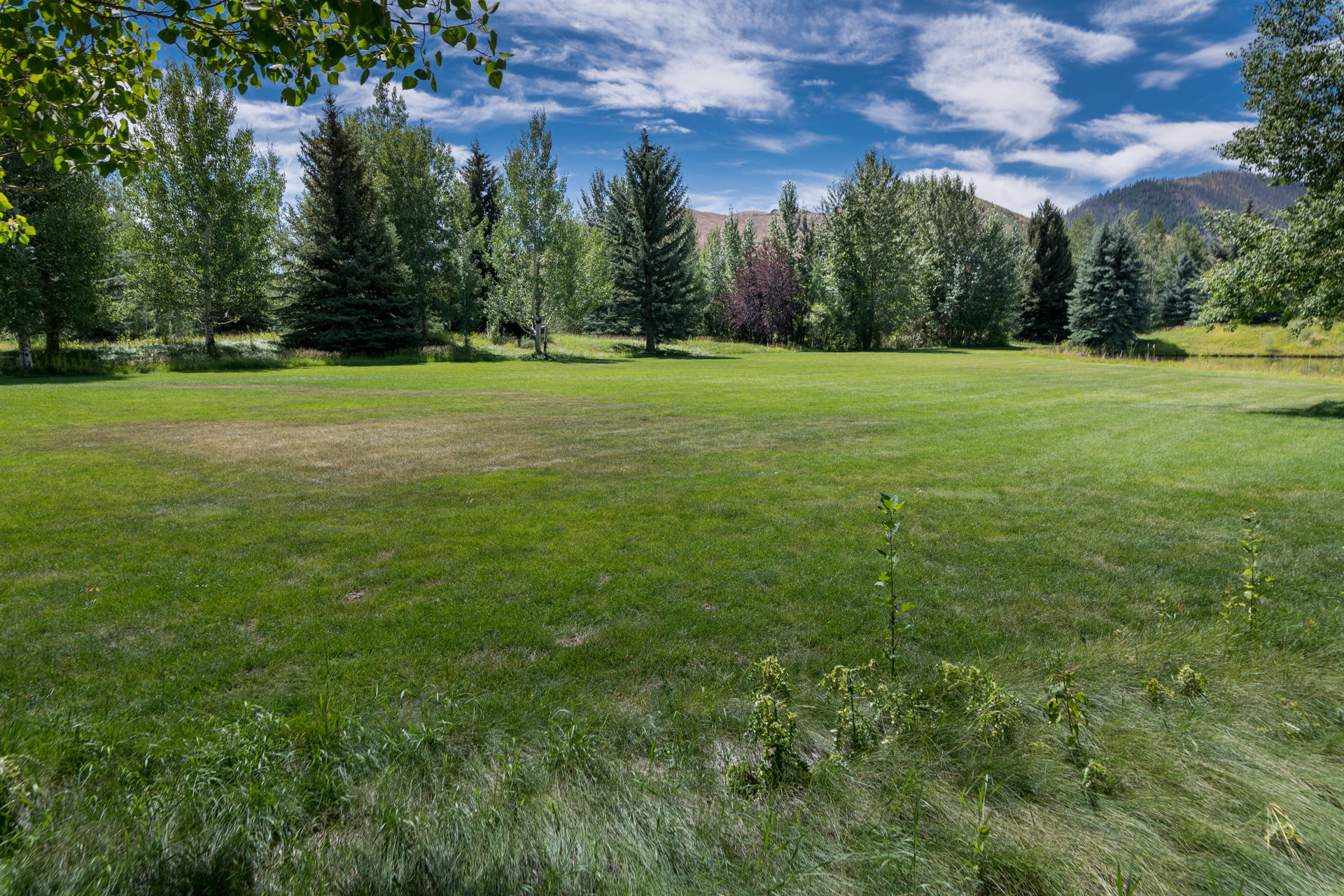 Blaine County, Idaho, 83333, United States, ,Land,For Sale,1794609