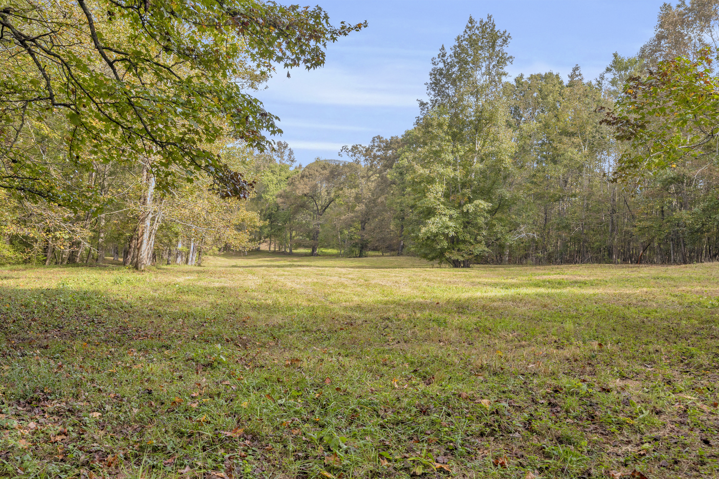 Cleveland, Georgia, 30528, United States, 3 Bedrooms Bedrooms, ,2 BathroomsBathrooms,Residential,For Sale,1979350