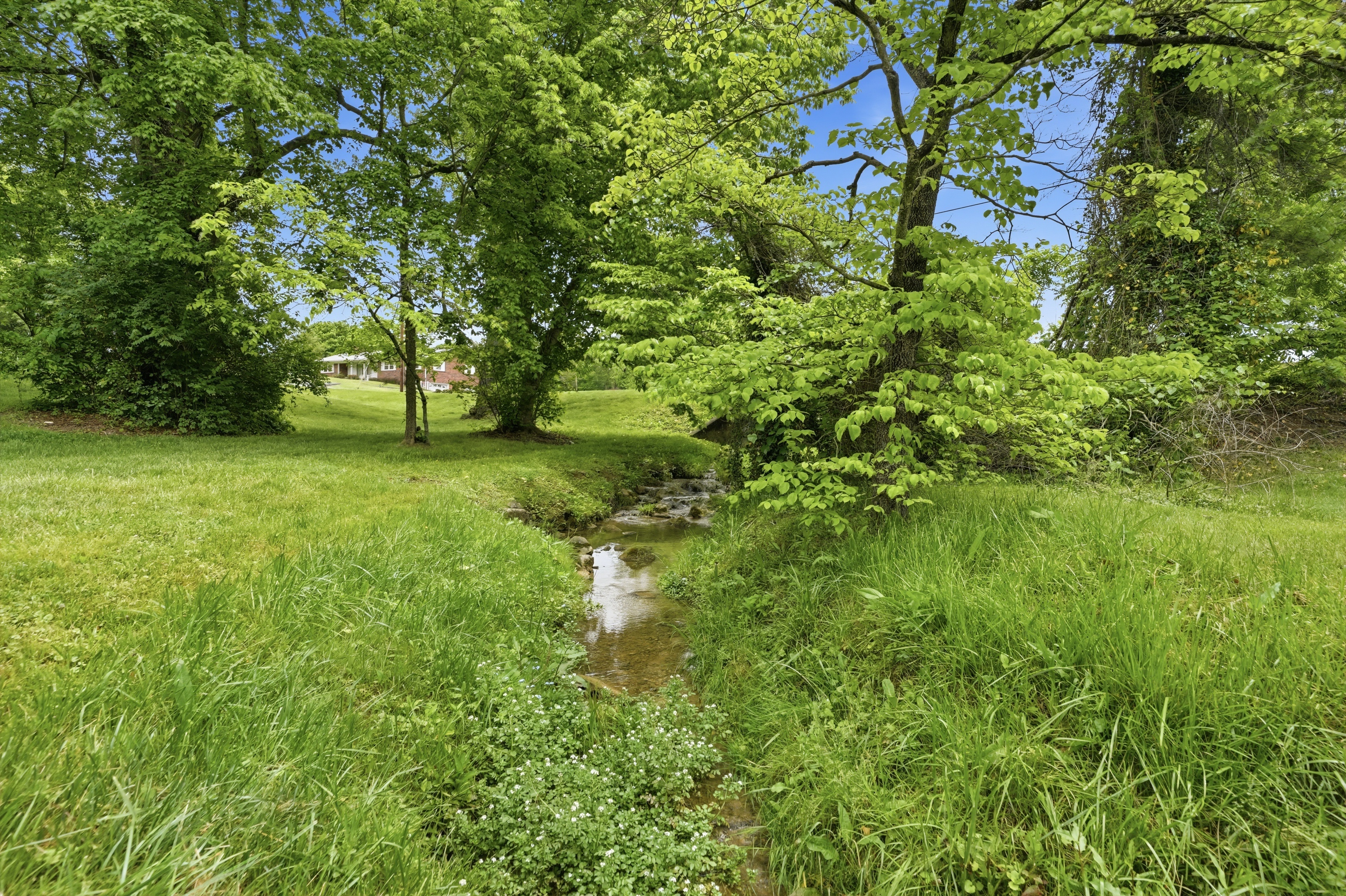  240 Maplehurst Lane, Bluff City, TN 37618 - 物件實景
